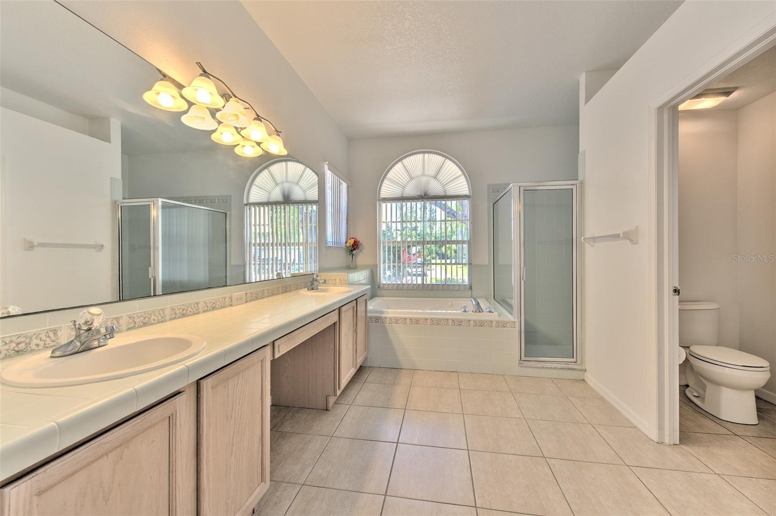 13022 CARLINGTON LN, RIVERVIEW, FL, 33579