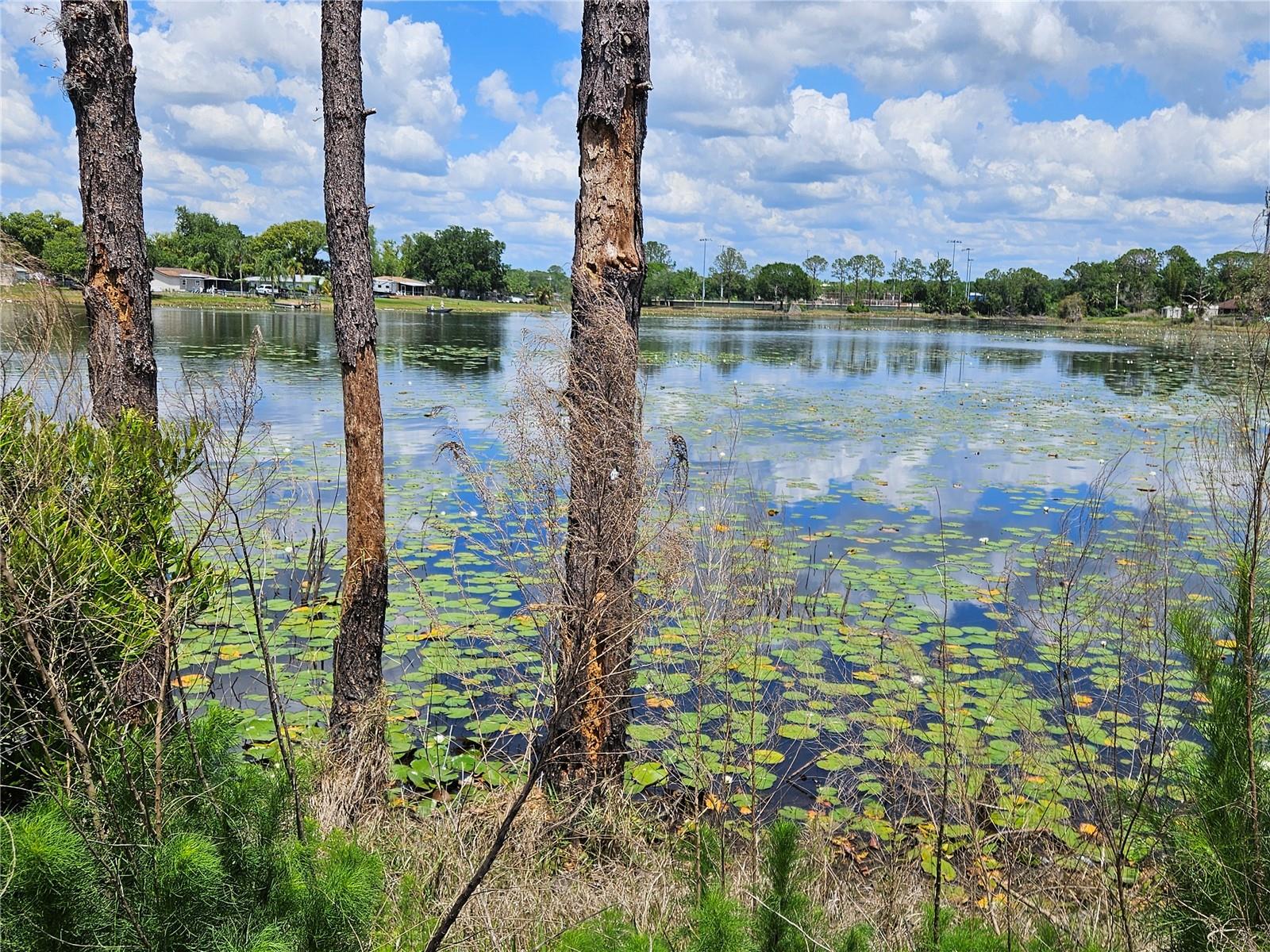 1952 ENGLISH DR, DELTONA, FL, 32738