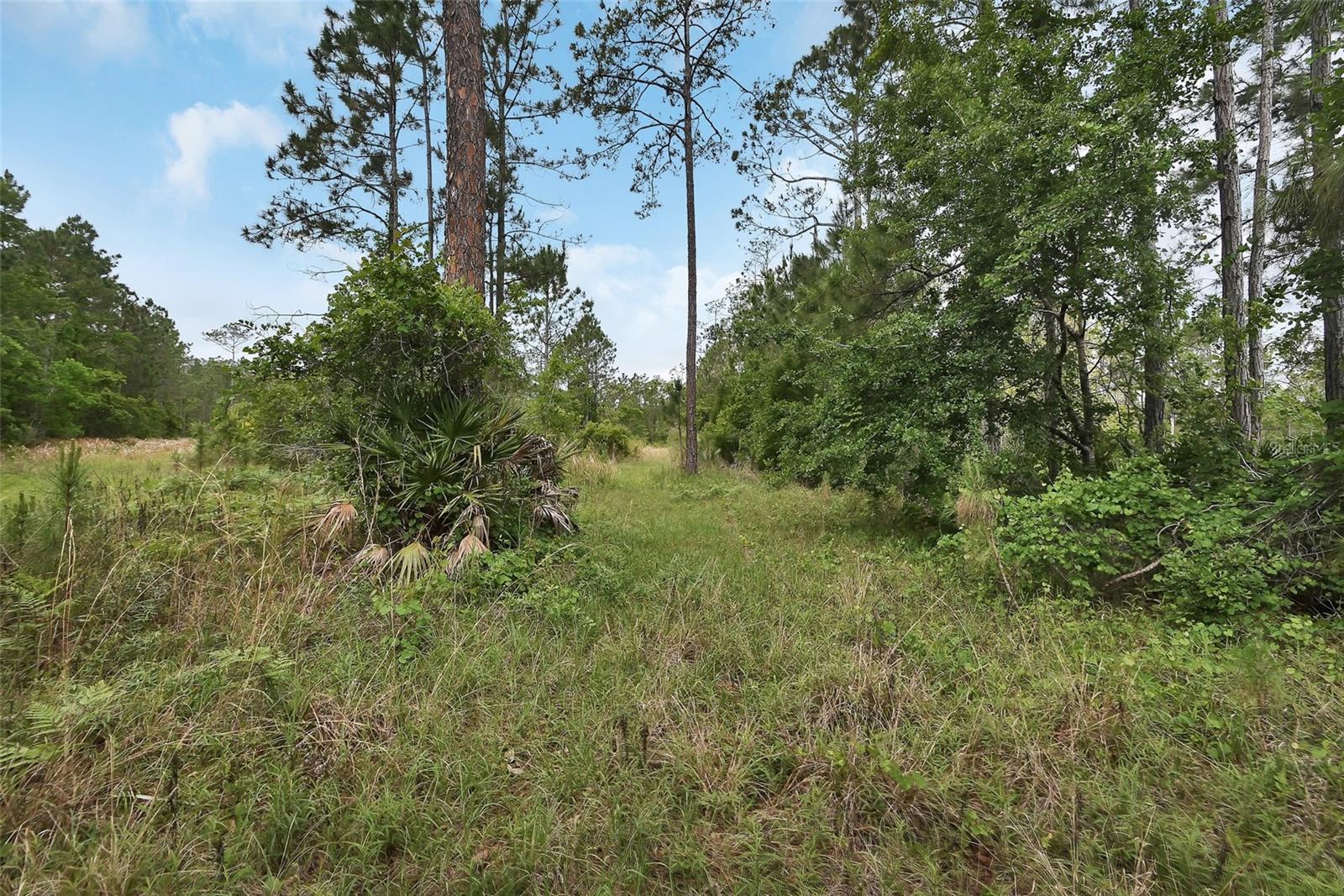 0 W SR 40 HWY, ORMOND BEACH, FL, 32174