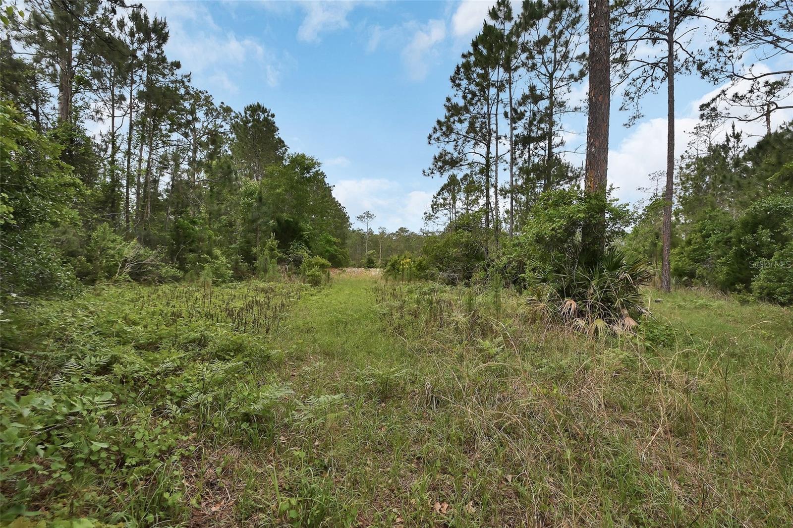 0 W SR 40 HWY, ORMOND BEACH, FL, 32174