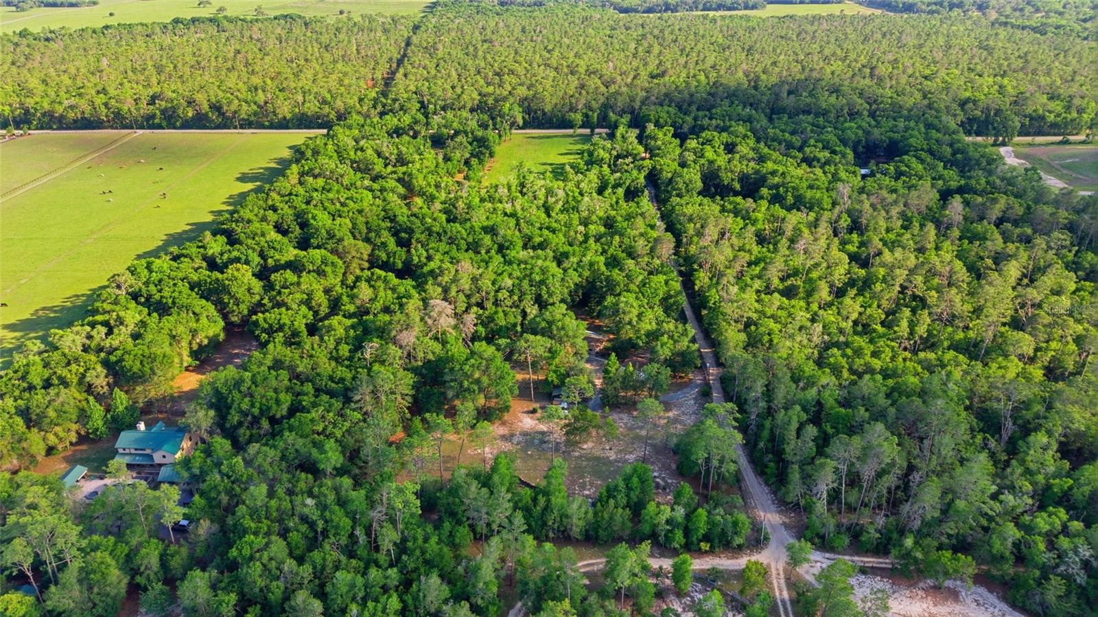 15700 DOE TRL, BROOKSVILLE, FL, 34601