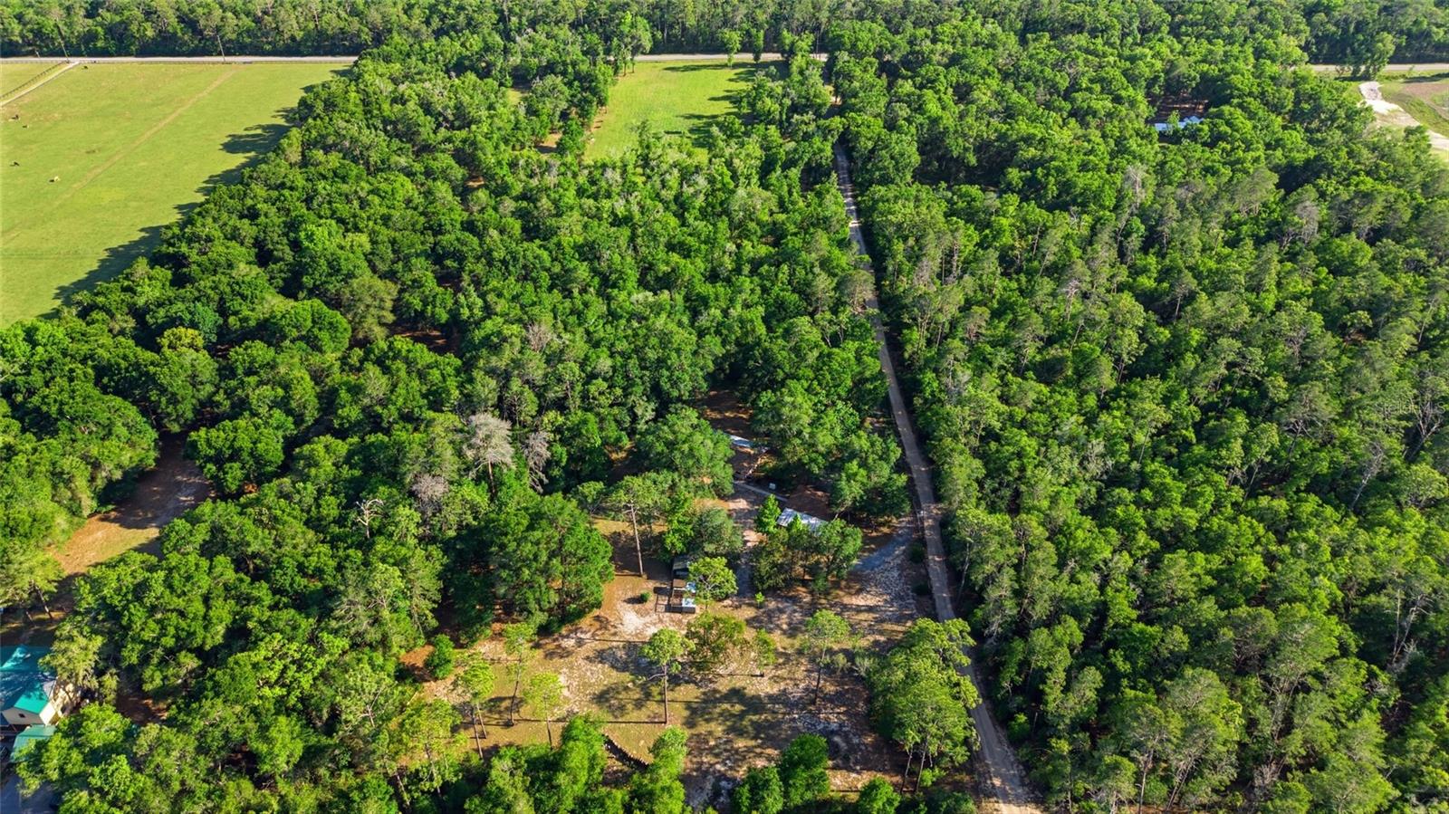 15700 DOE TRL, BROOKSVILLE, FL, 34601