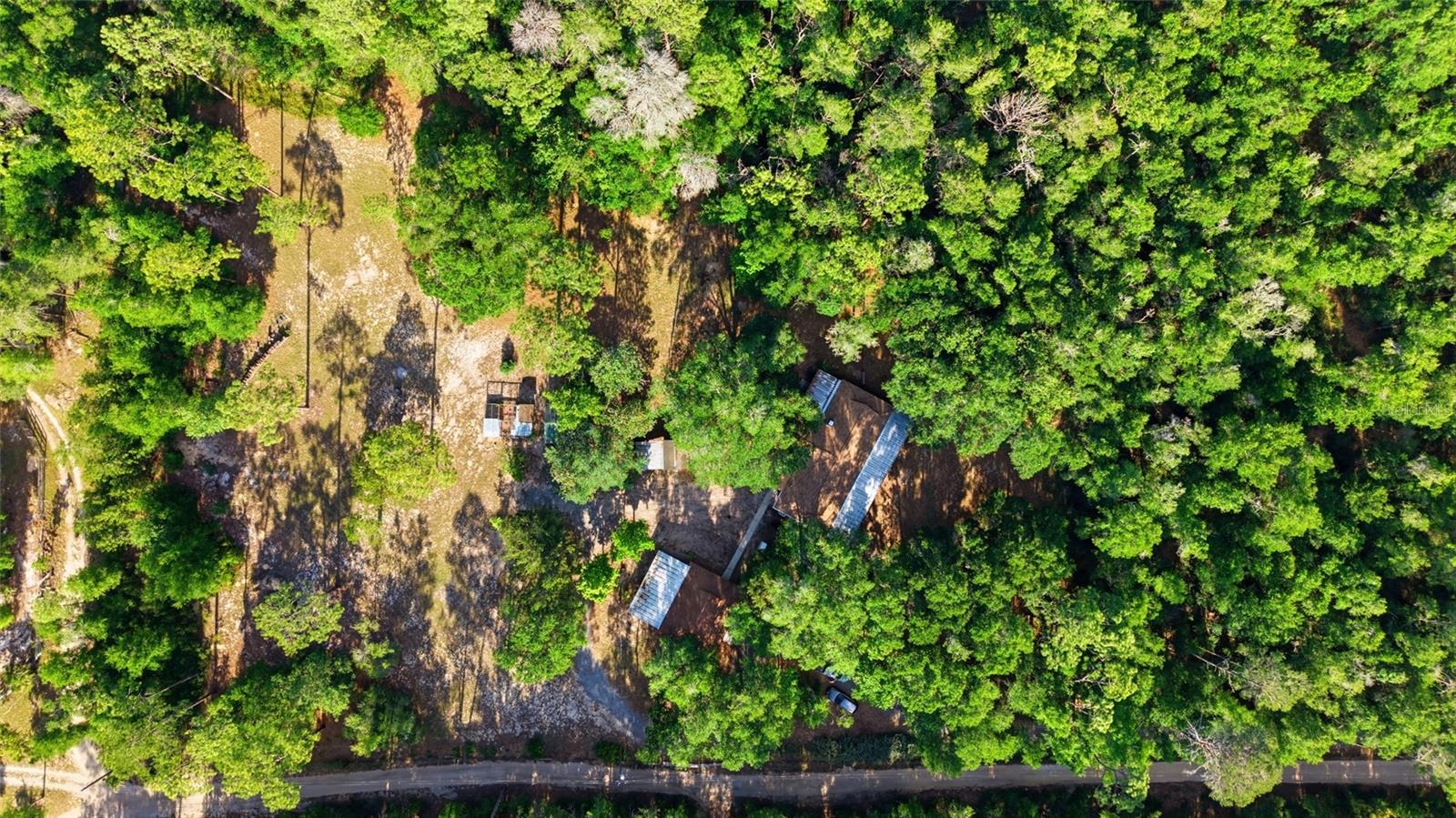 15700 DOE TRL, BROOKSVILLE, FL, 34601