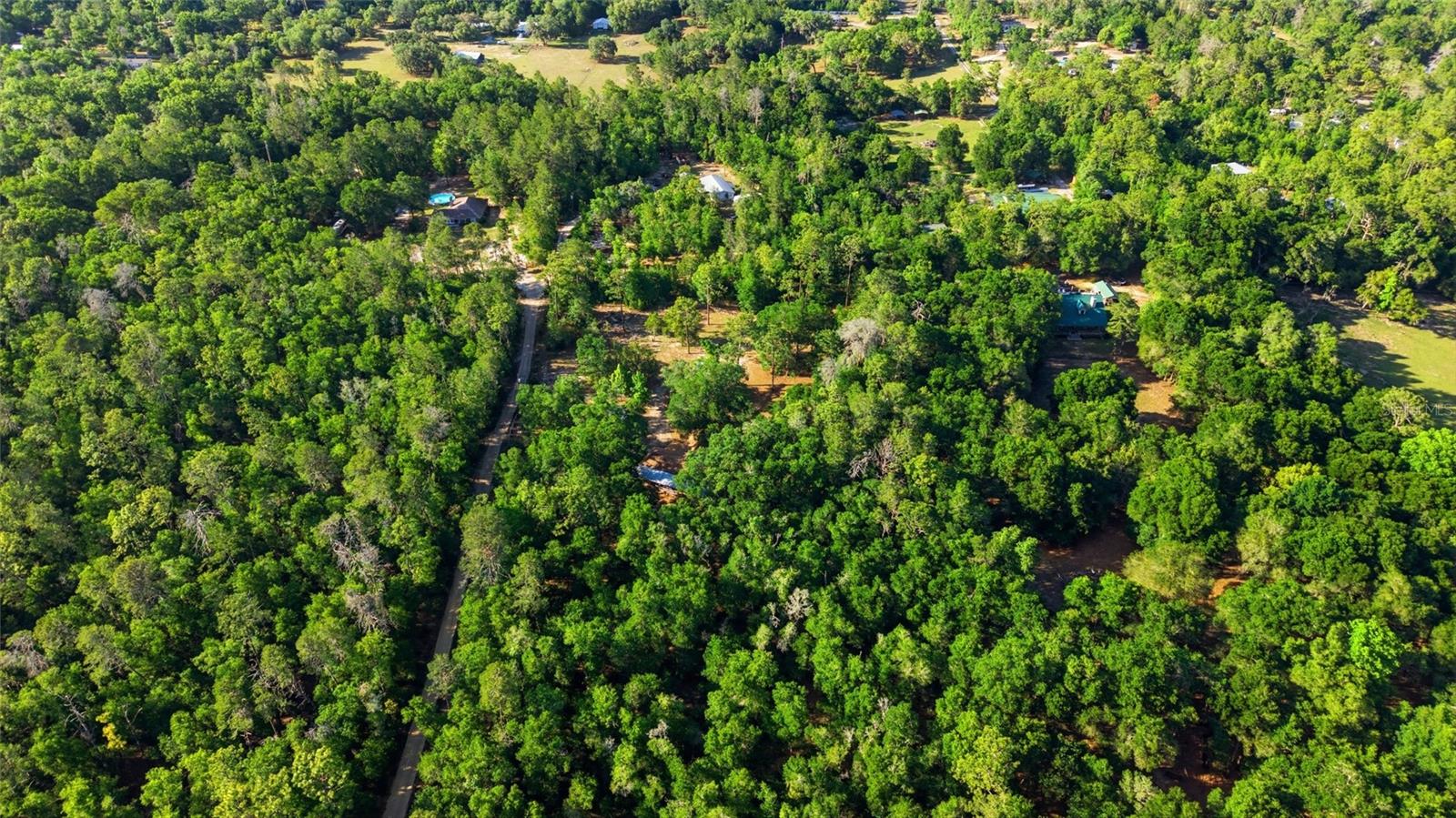 15700 DOE TRL, BROOKSVILLE, FL, 34601