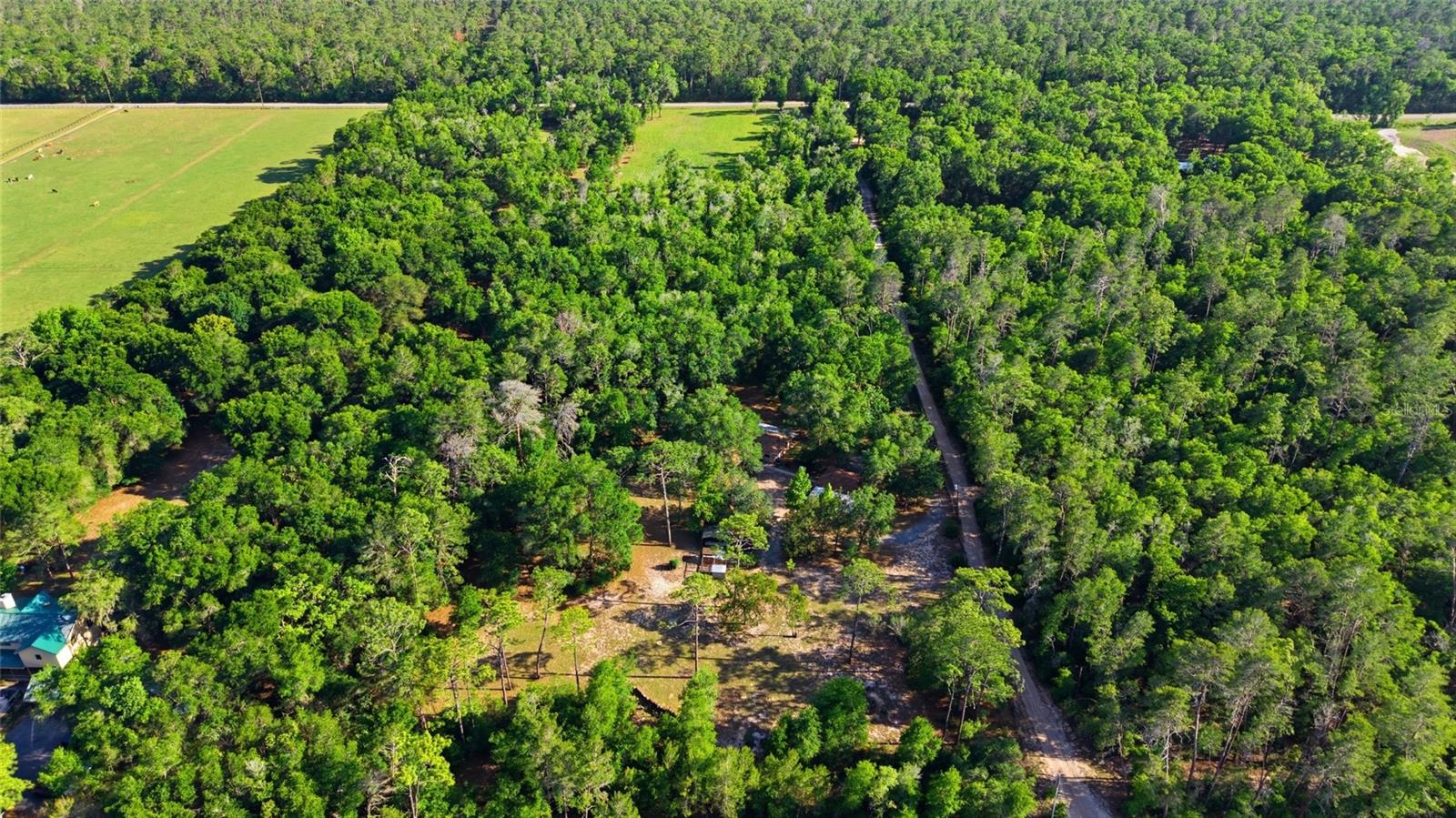 15700 DOE TRL, BROOKSVILLE, FL, 34601