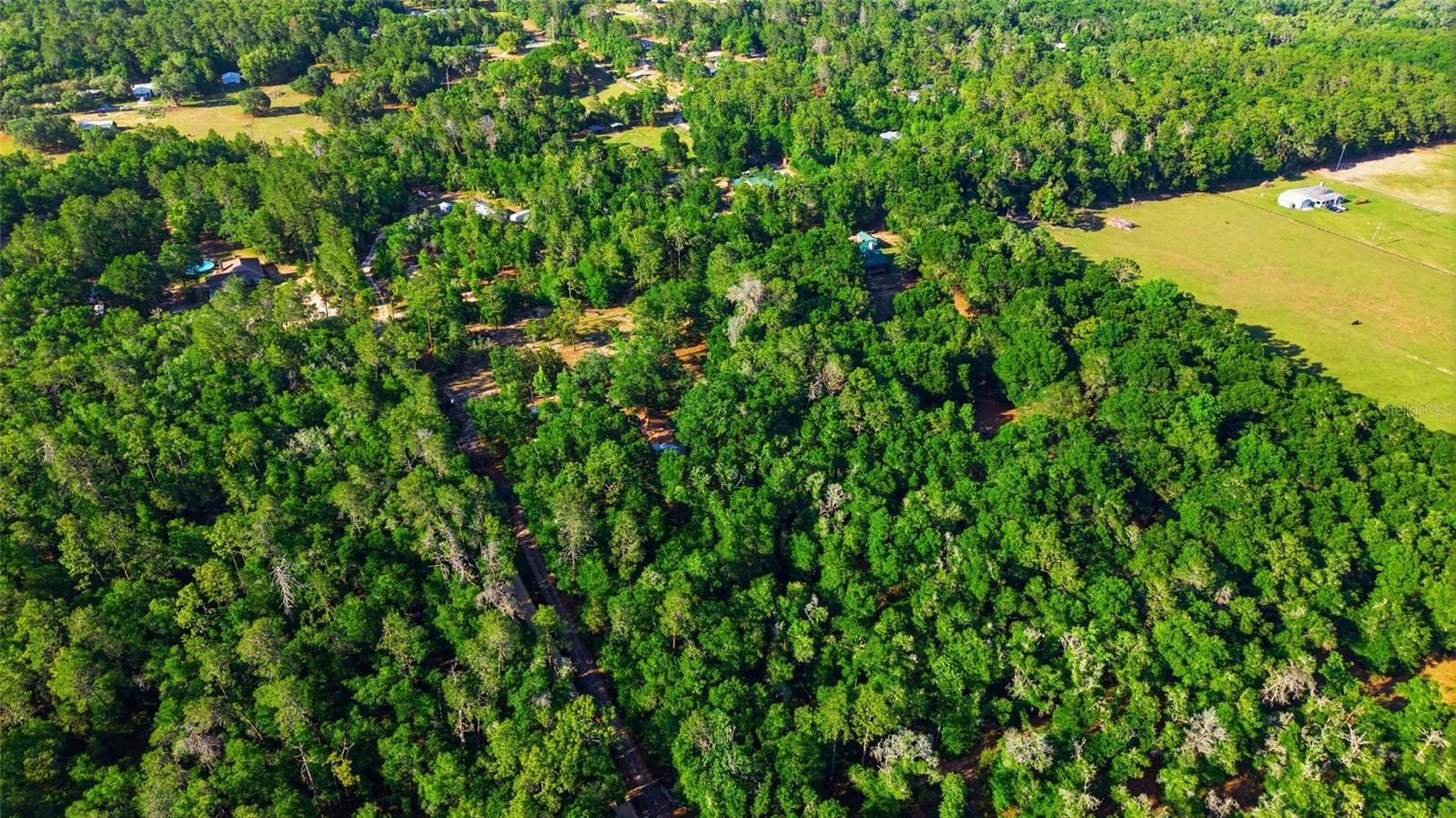 15700 DOE TRL, BROOKSVILLE, FL, 34601