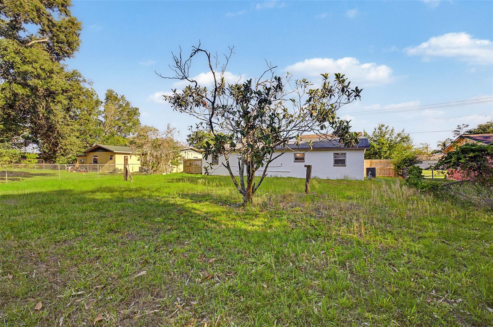 1807 E OHIO ST, PLANT CITY, FL, 33563