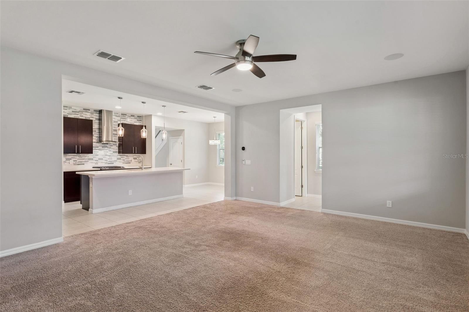 14005 ALDFORD DR, WINTER GARDEN, FL, 34787