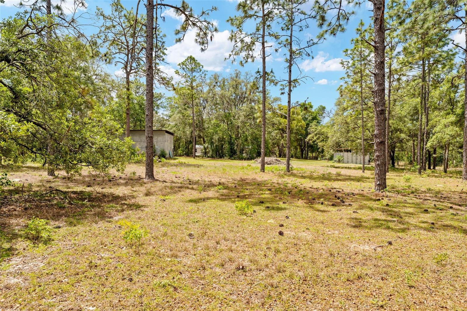 24503 EVALINE ST, BROOKSVILLE, FL, 34601