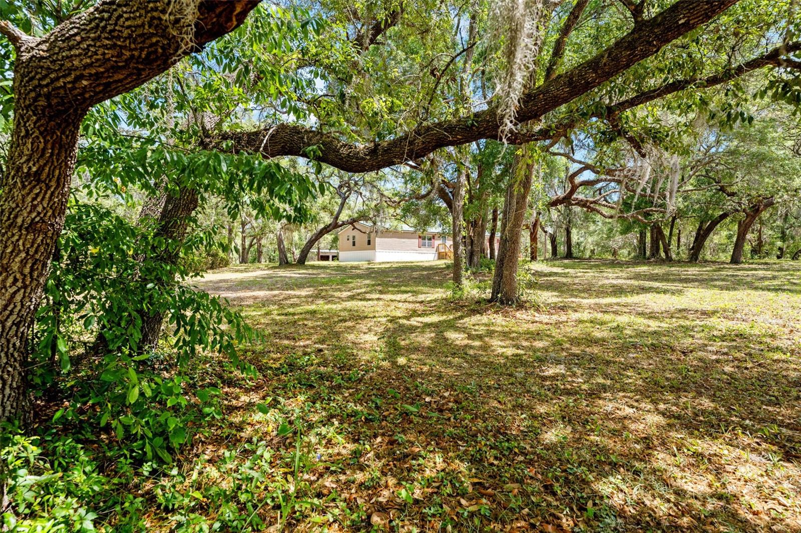 24503 EVALINE ST, BROOKSVILLE, FL, 34601