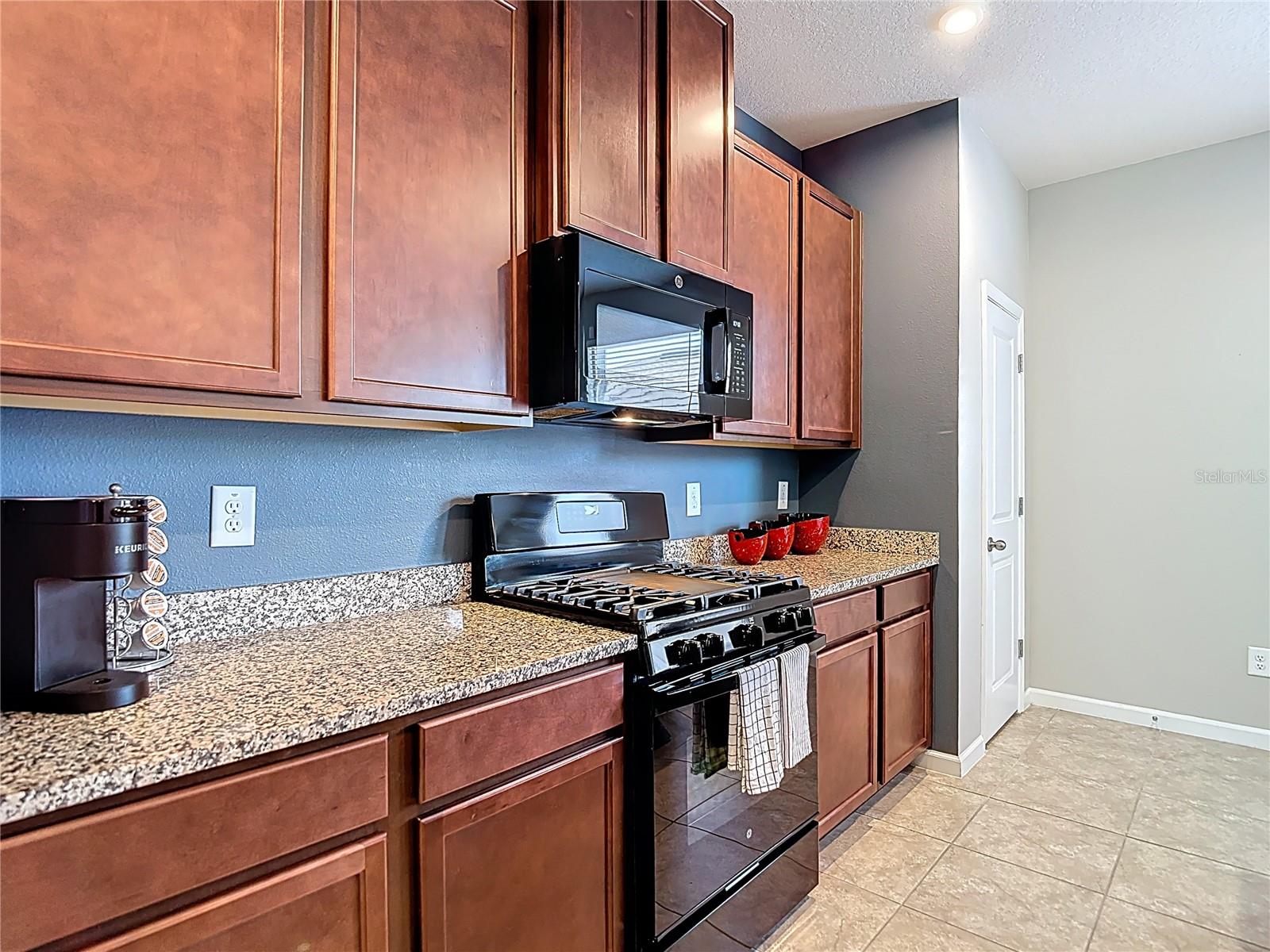 14729 PROMENADE PKWY, ODESSA, FL, 33556