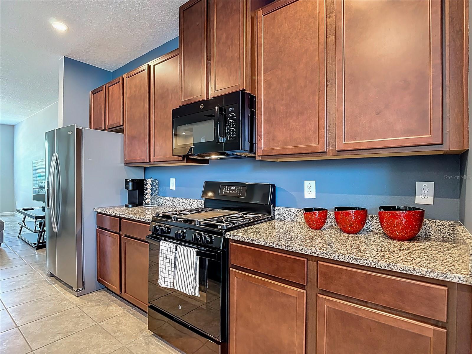 14729 PROMENADE PKWY, ODESSA, FL, 33556