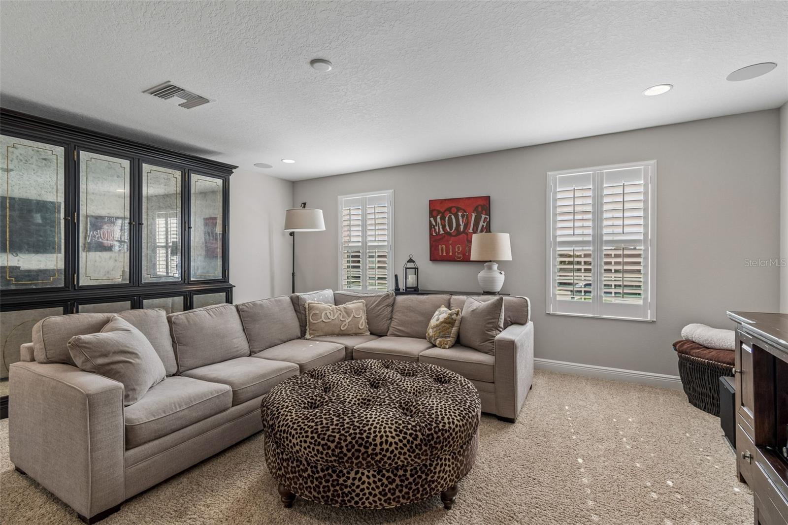 8768 BIRCHLEAF CT, LAND O LAKES, FL, 34637