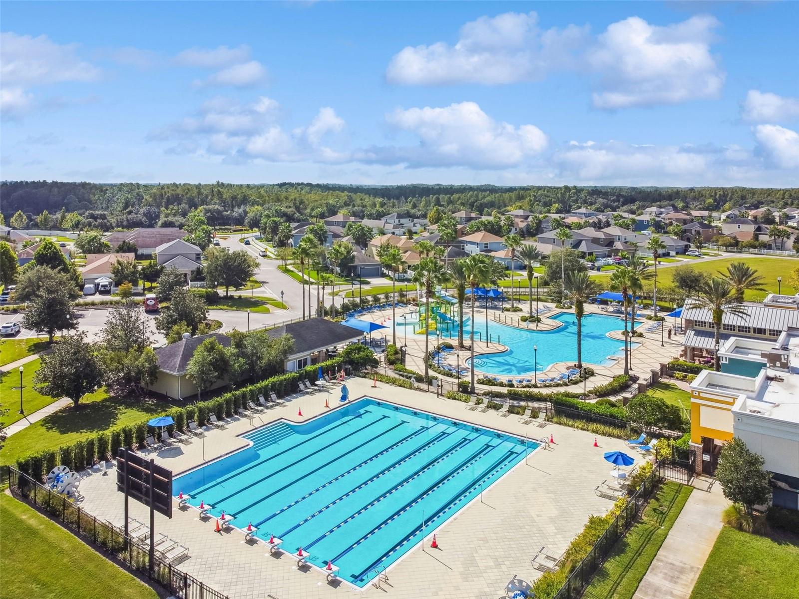 8768 BIRCHLEAF CT, LAND O LAKES, FL, 34637