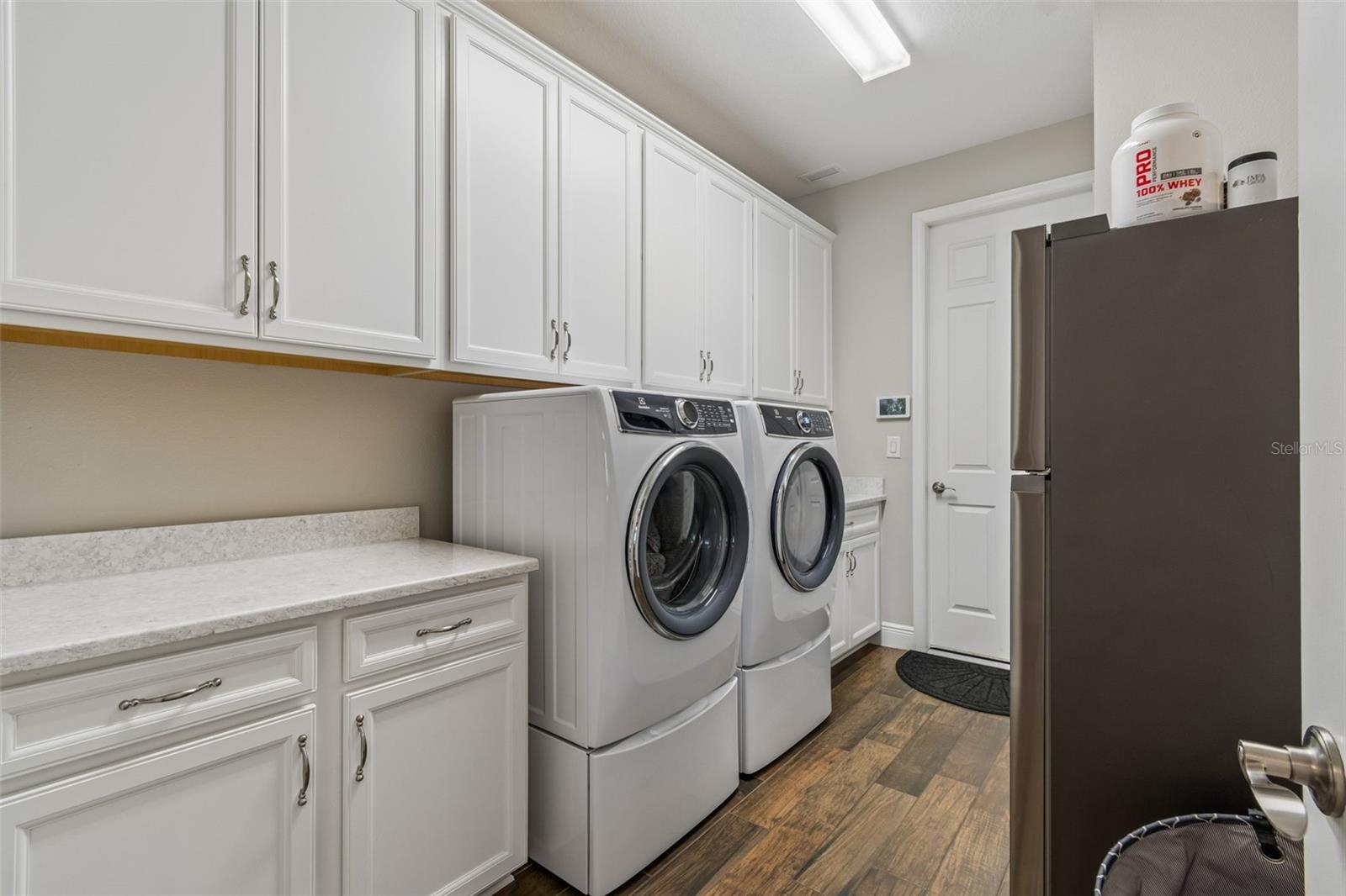 8768 BIRCHLEAF CT, LAND O LAKES, FL, 34637