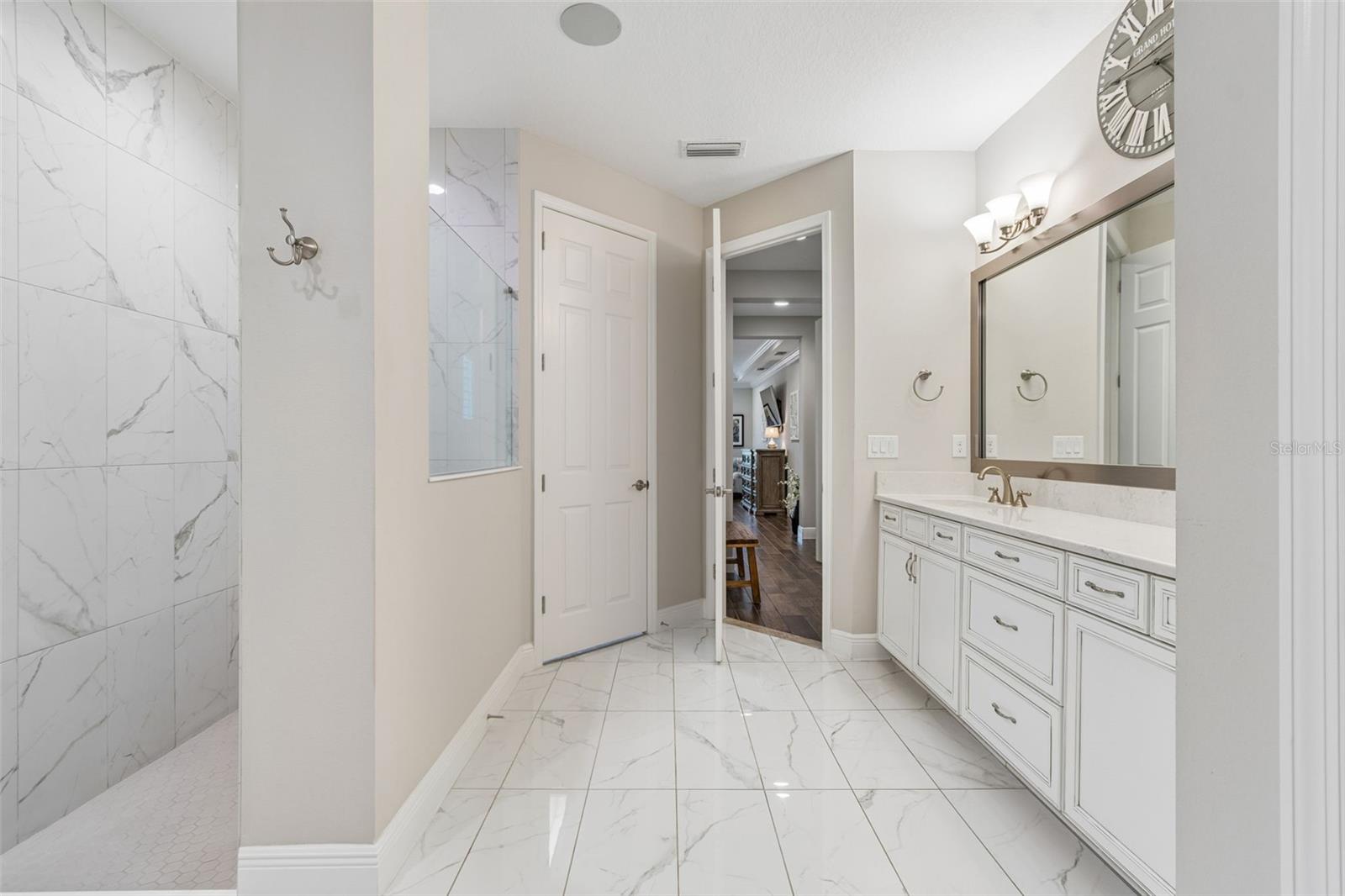 8768 BIRCHLEAF CT, LAND O LAKES, FL, 34637