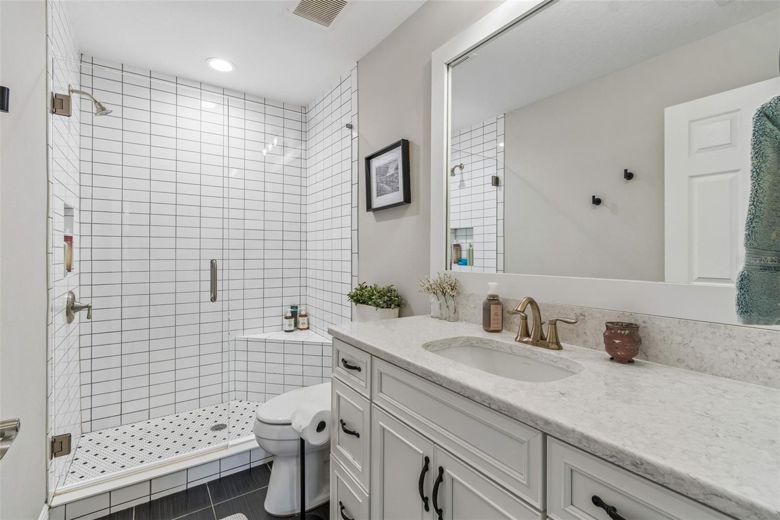 8768 BIRCHLEAF CT, LAND O LAKES, FL, 34637