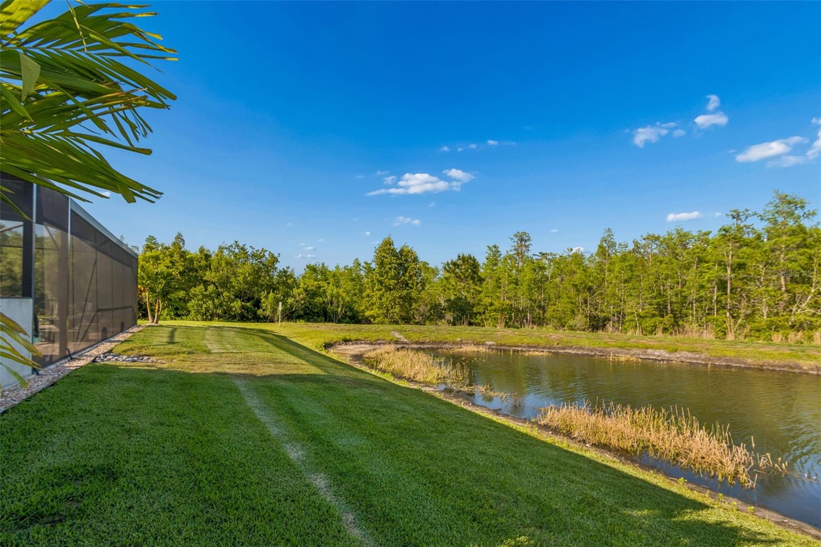 8768 BIRCHLEAF CT, LAND O LAKES, FL, 34637