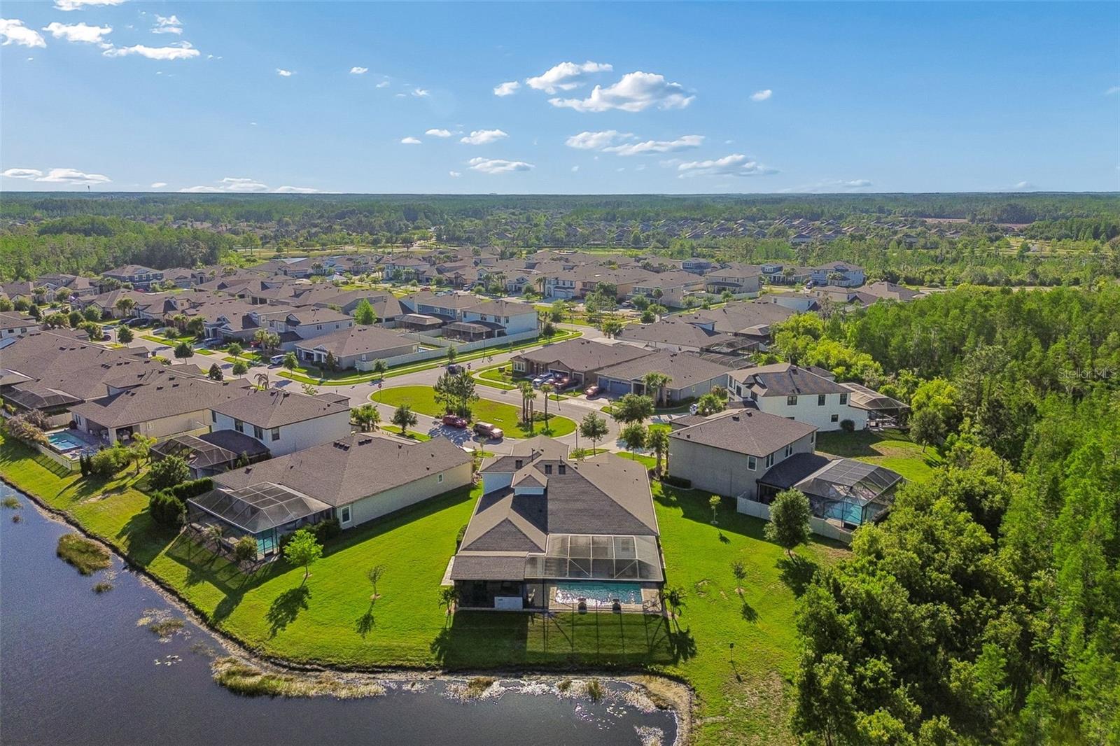 8768 BIRCHLEAF CT, LAND O LAKES, FL, 34637