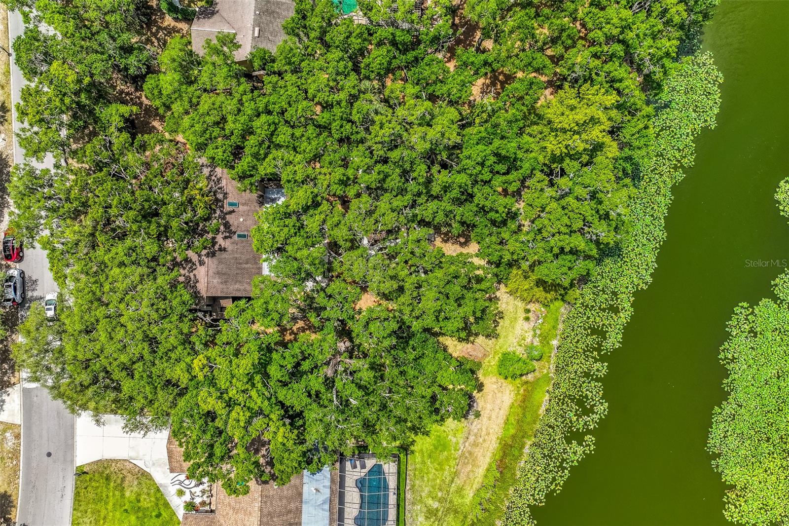 4295 WOODVIEW DR, SARASOTA, FL, 34232