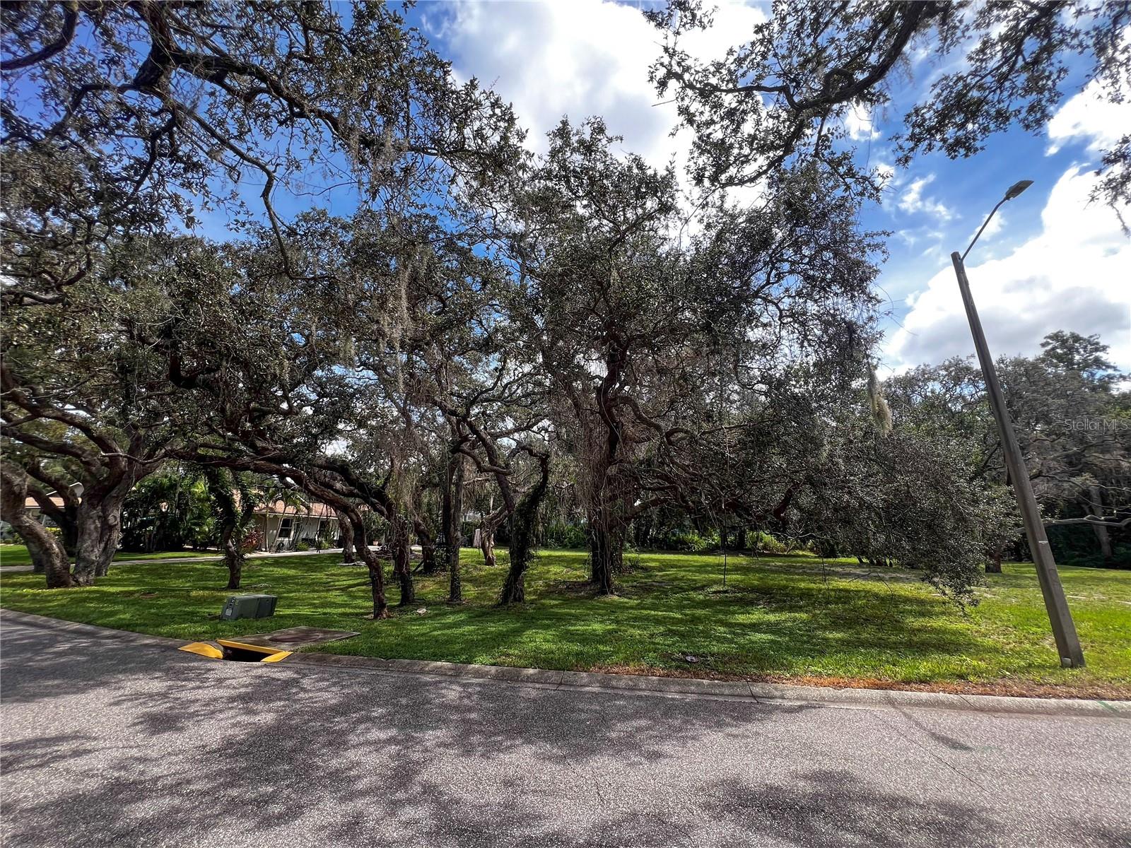 0 TAMPA RD, PALM HARBOR, FL, 34684