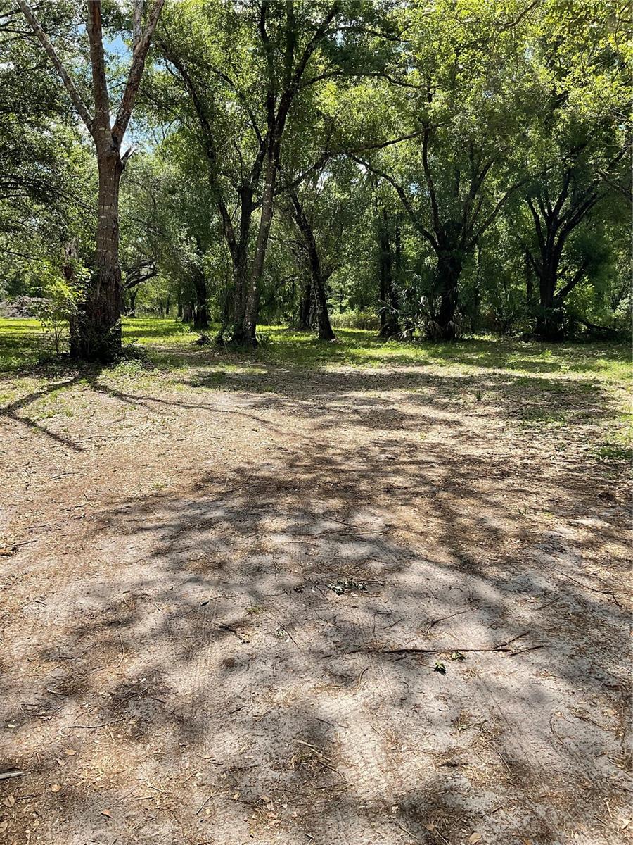 4796 SW BRAGDON AVE, ARCADIA, FL, 34266