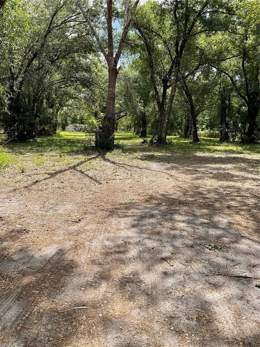 4796 SW BRAGDON AVE, ARCADIA, FL, 34266