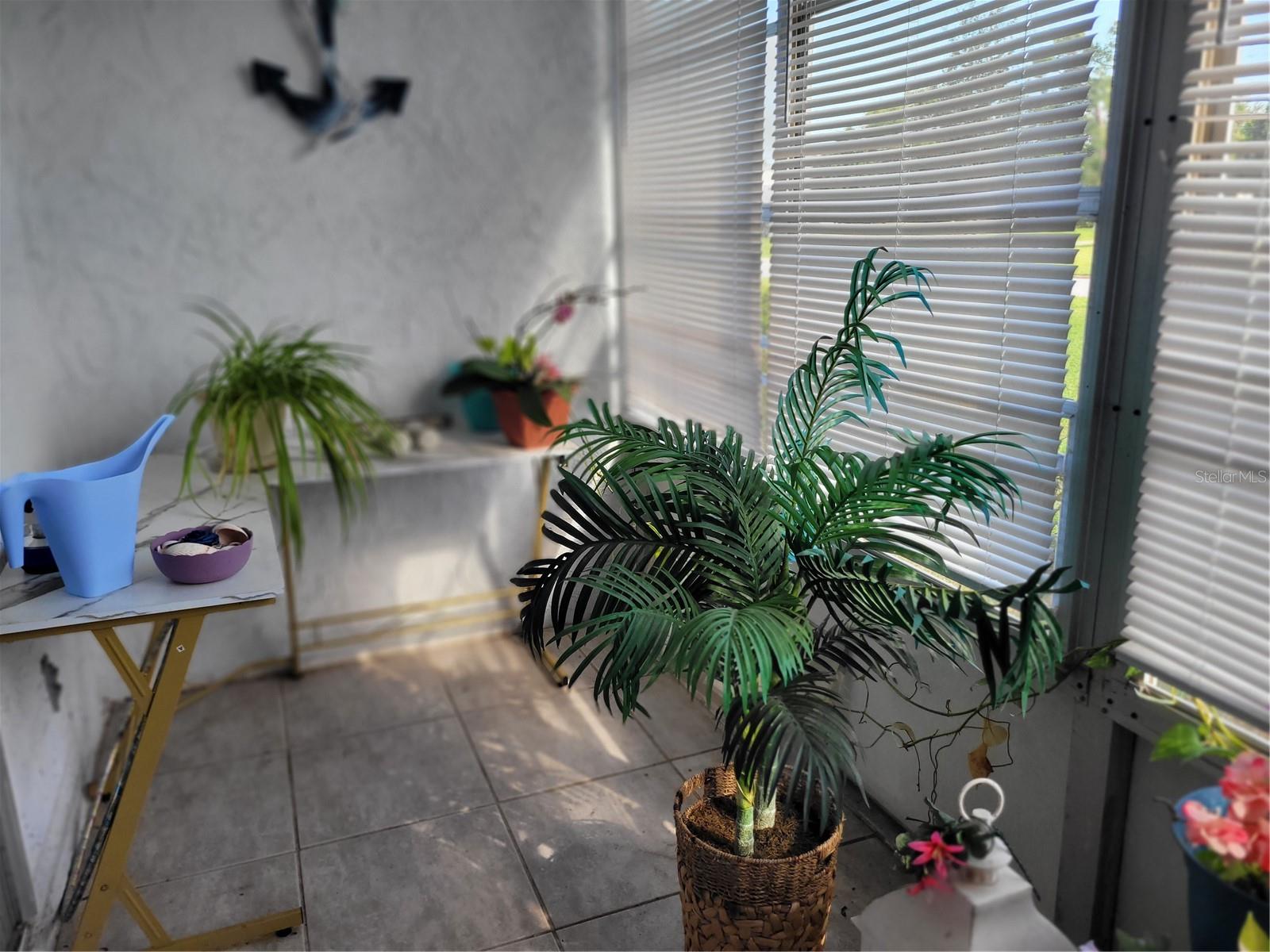 944 MADRID DR, PALM HARBOR, FL, 34684