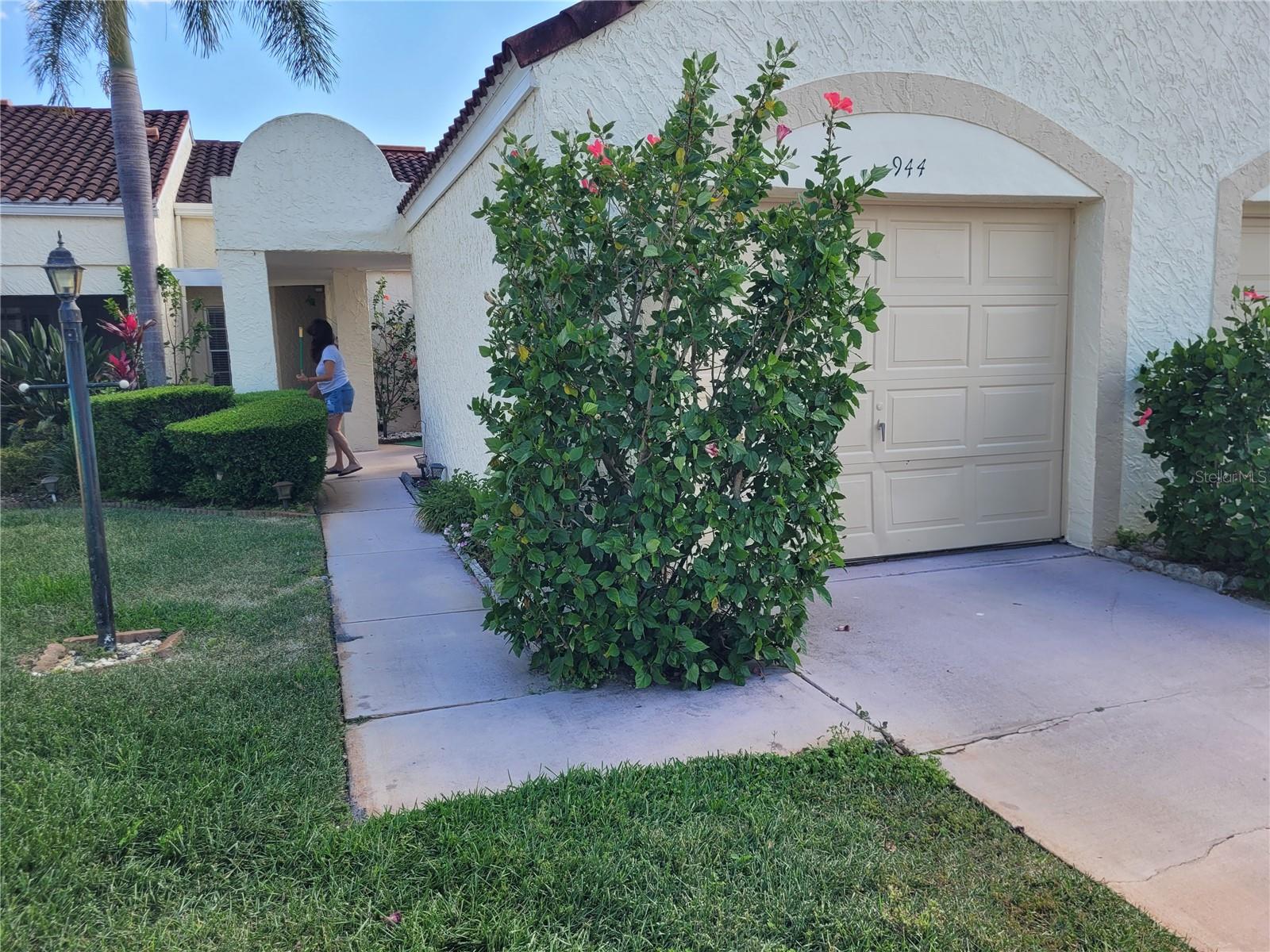 944 MADRID DR, PALM HARBOR, FL, 34684