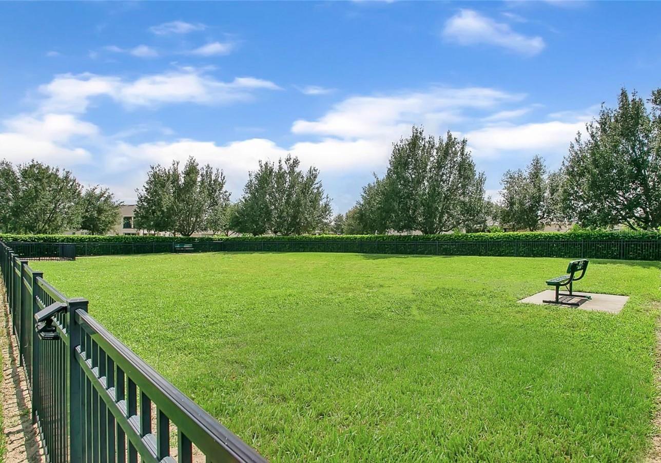 15734 SWEET LEMON WAY, WINTER GARDEN, FL, 34787