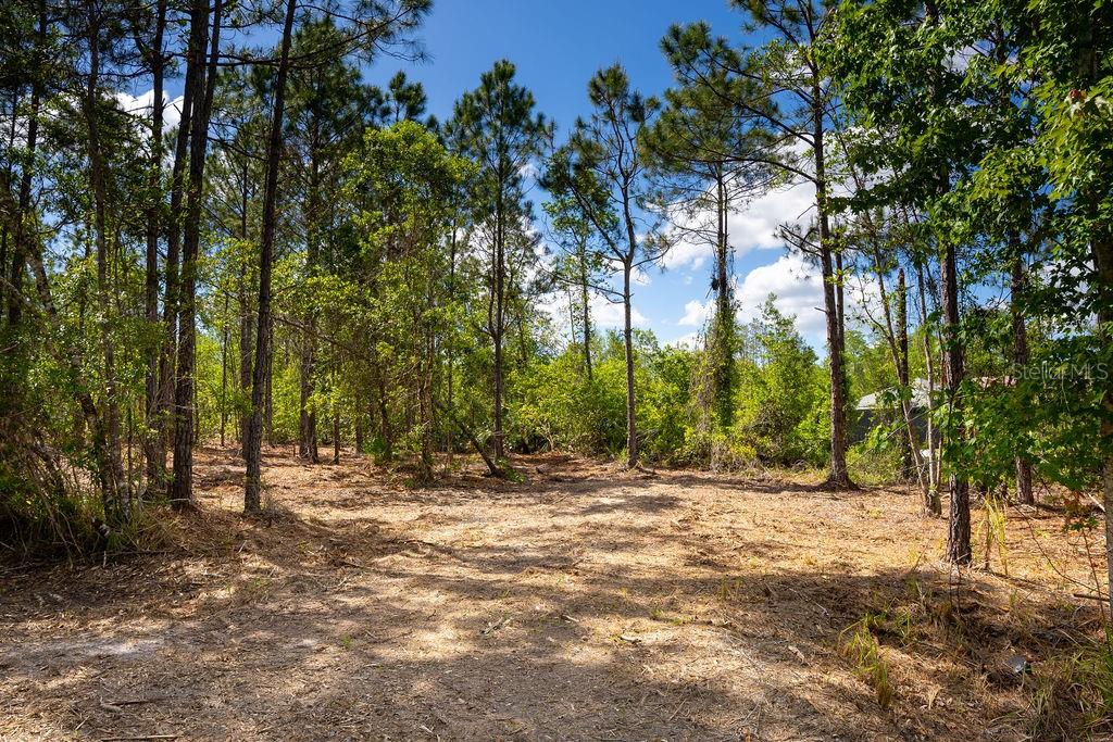 3770 BALSAM CT, ORMOND BEACH, FL, 32174