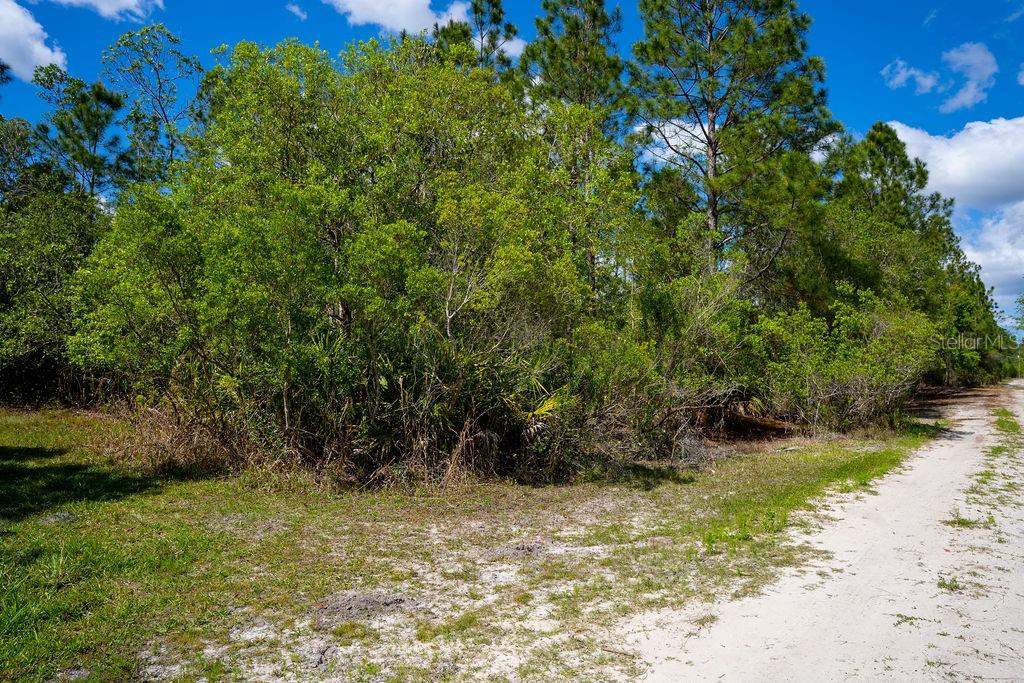 3770 BALSAM CT, ORMOND BEACH, FL, 32174