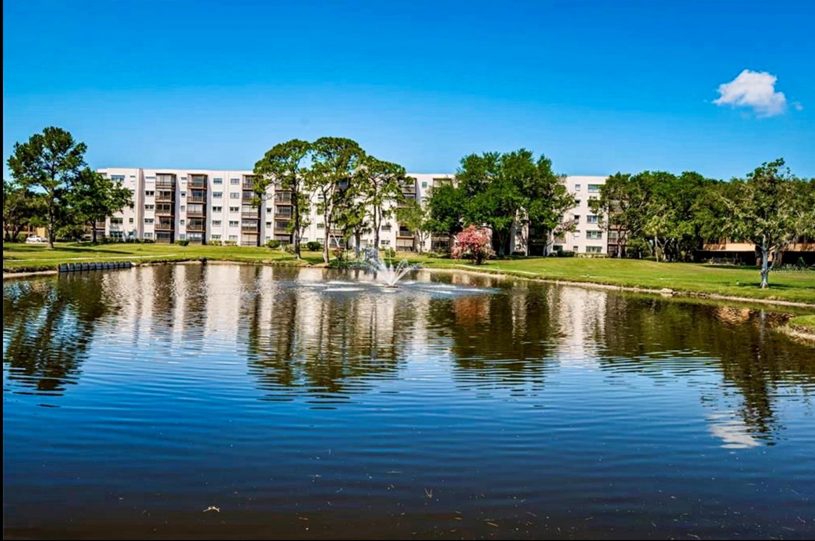 5925 TERRACE PARK DR N #203, ST PETERSBURG, FL, 33709