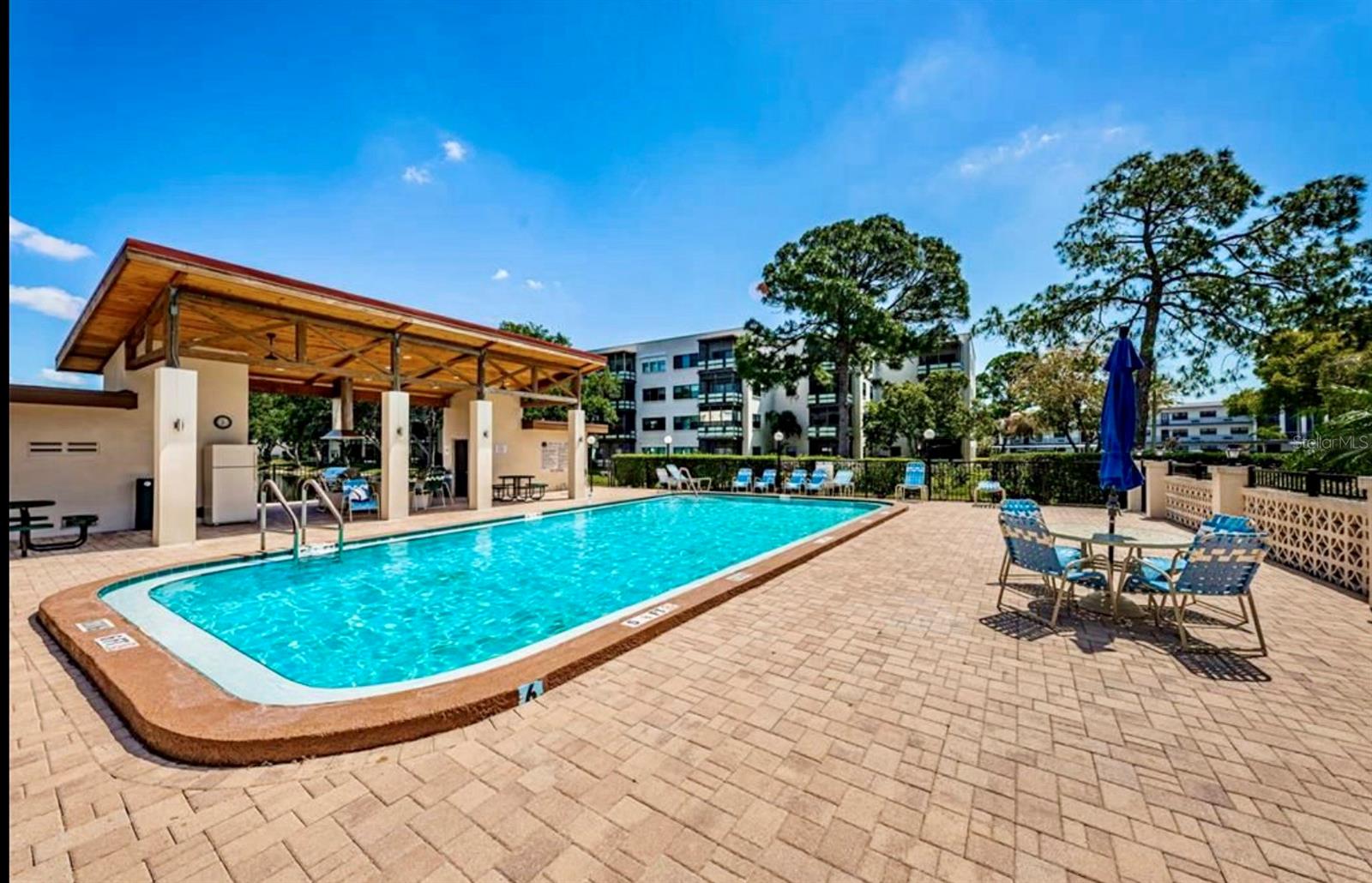 5925 TERRACE PARK DR N #203, ST PETERSBURG, FL, 33709