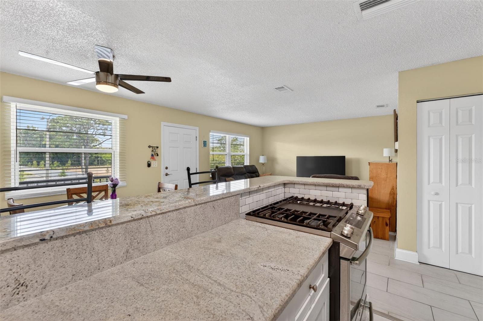 5925 TERRACE PARK DR N #203, ST PETERSBURG, FL, 33709