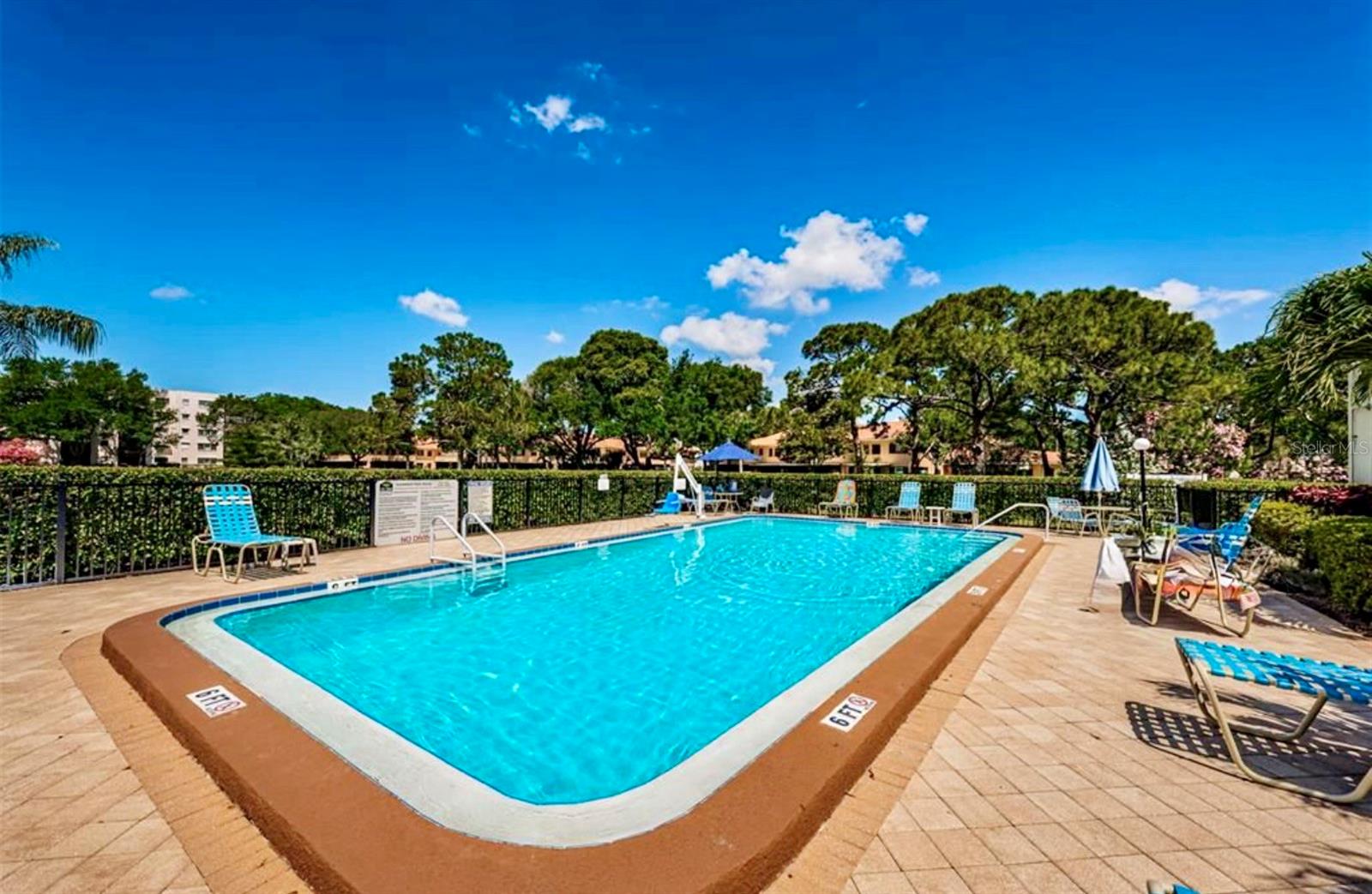 5925 TERRACE PARK DR N #203, ST PETERSBURG, FL, 33709