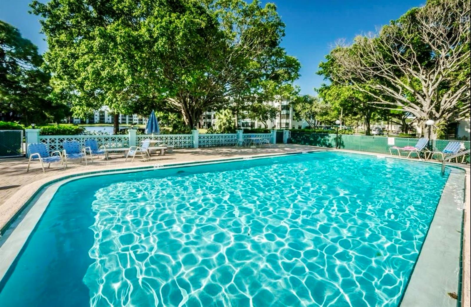 5925 TERRACE PARK DR N #203, ST PETERSBURG, FL, 33709