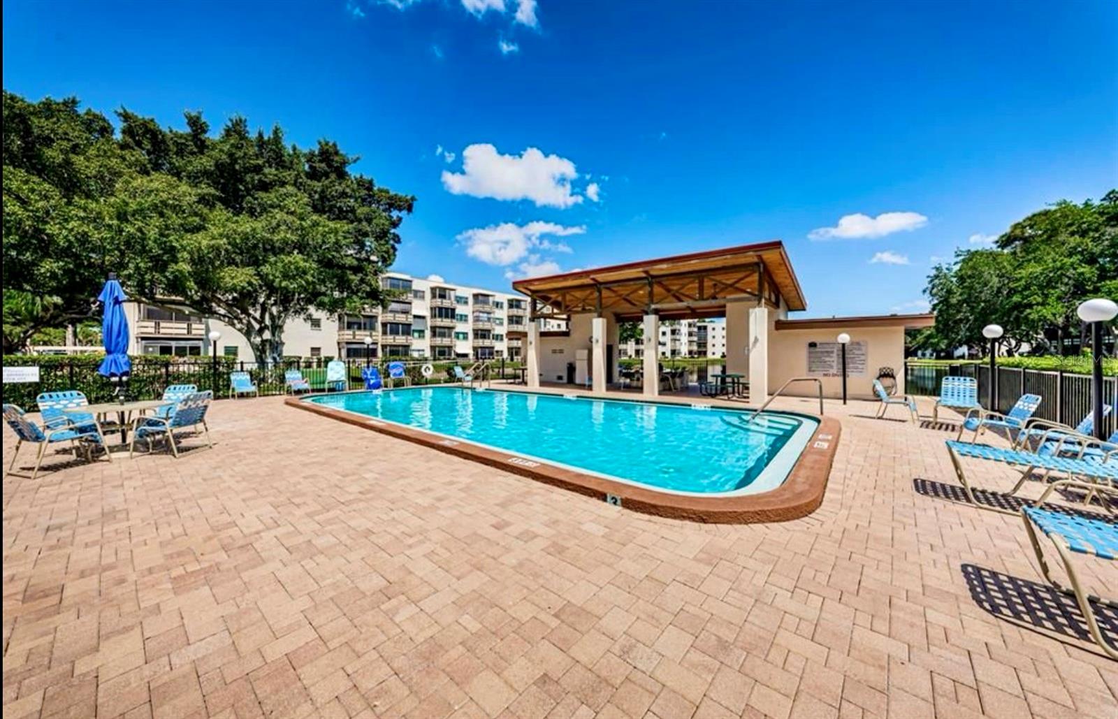 5925 TERRACE PARK DR N #203, ST PETERSBURG, FL, 33709