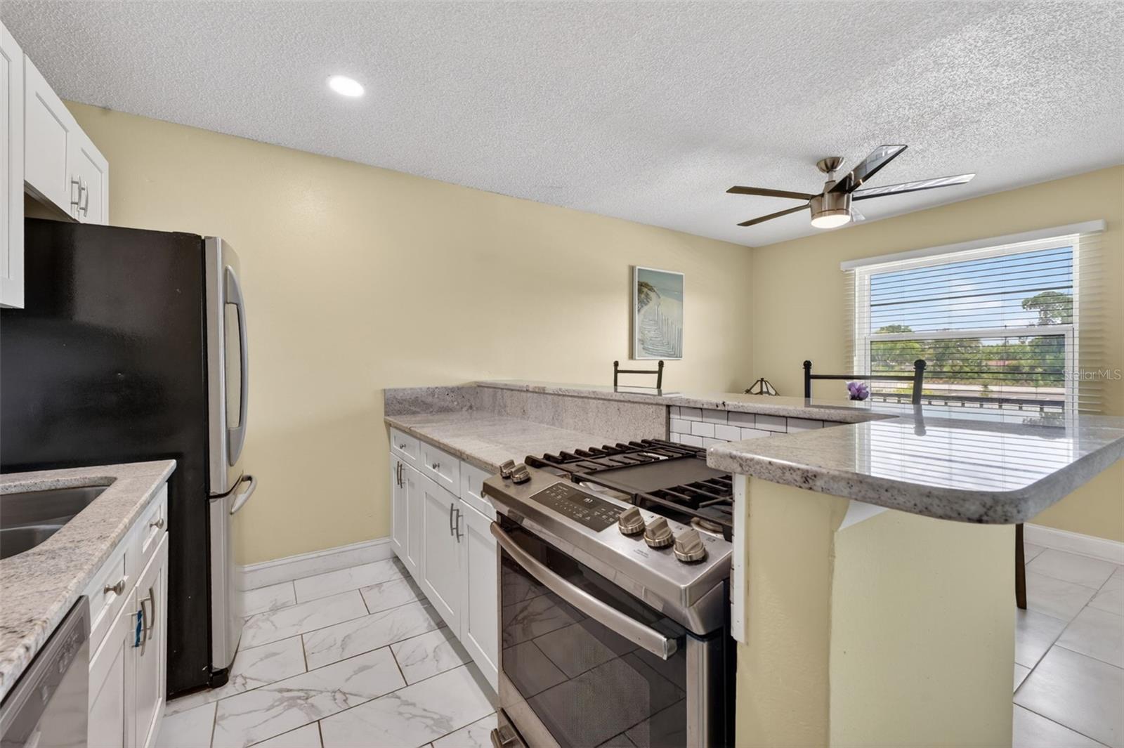 5925 TERRACE PARK DR N #203, ST PETERSBURG, FL, 33709