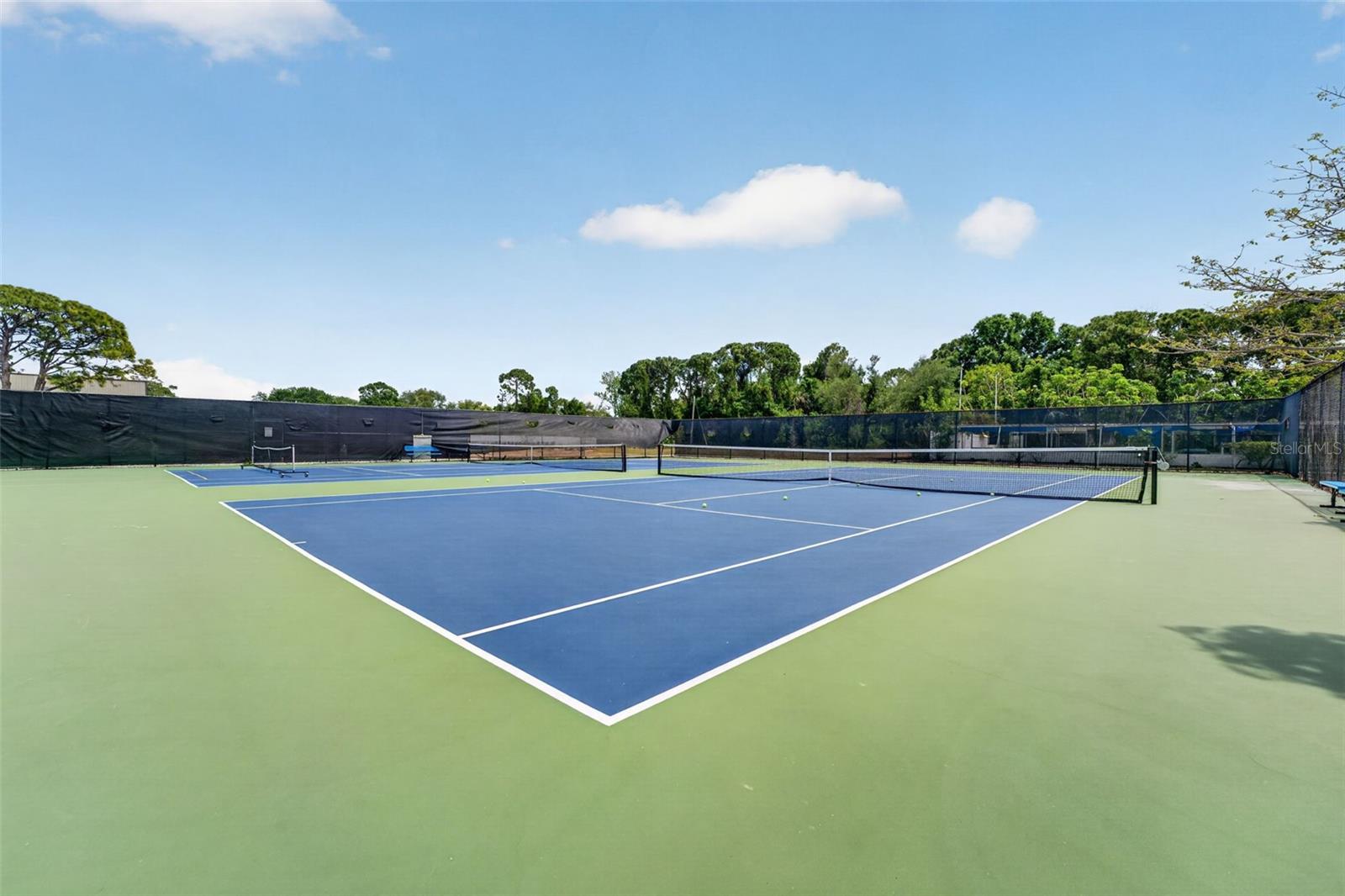 5925 TERRACE PARK DR N #203, ST PETERSBURG, FL, 33709