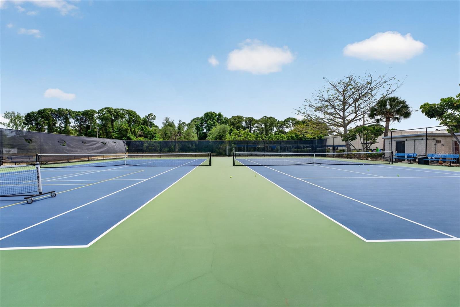 5925 TERRACE PARK DR N #203, ST PETERSBURG, FL, 33709