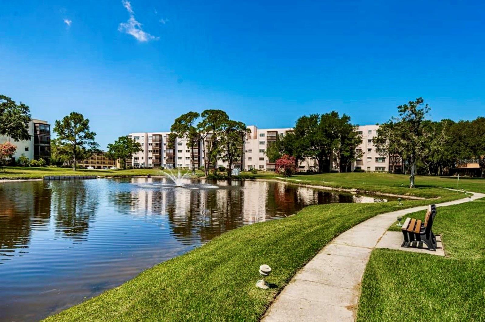 5925 TERRACE PARK DR N #203, ST PETERSBURG, FL, 33709