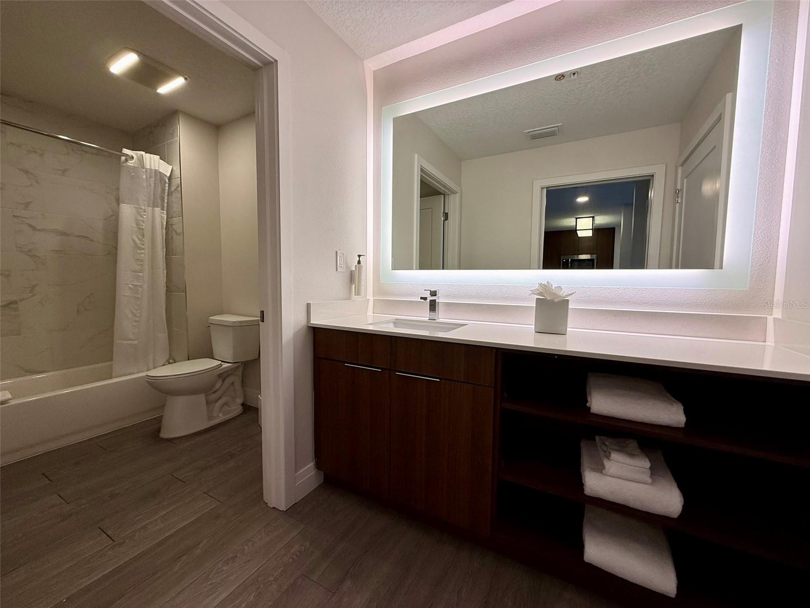 14501 GROVE RESORT AVE, WINTER GARDEN, FL, 34787