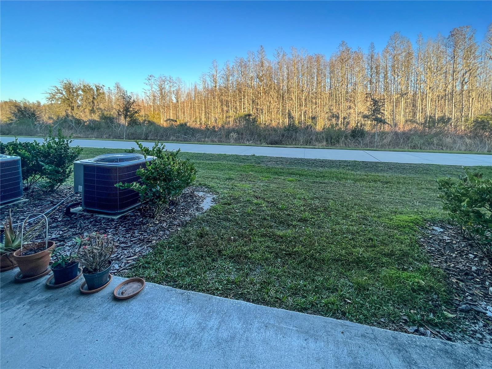 8078 ROLLING SHELL TRL, WESLEY CHAPEL, FL, 33545