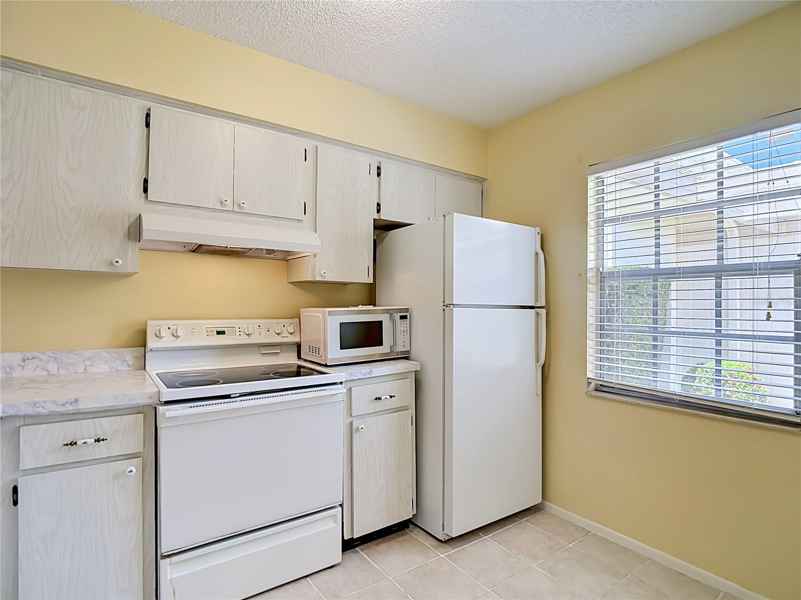 11132 PEMBRIDGE CT #6, PORT RICHEY, FL, 34668