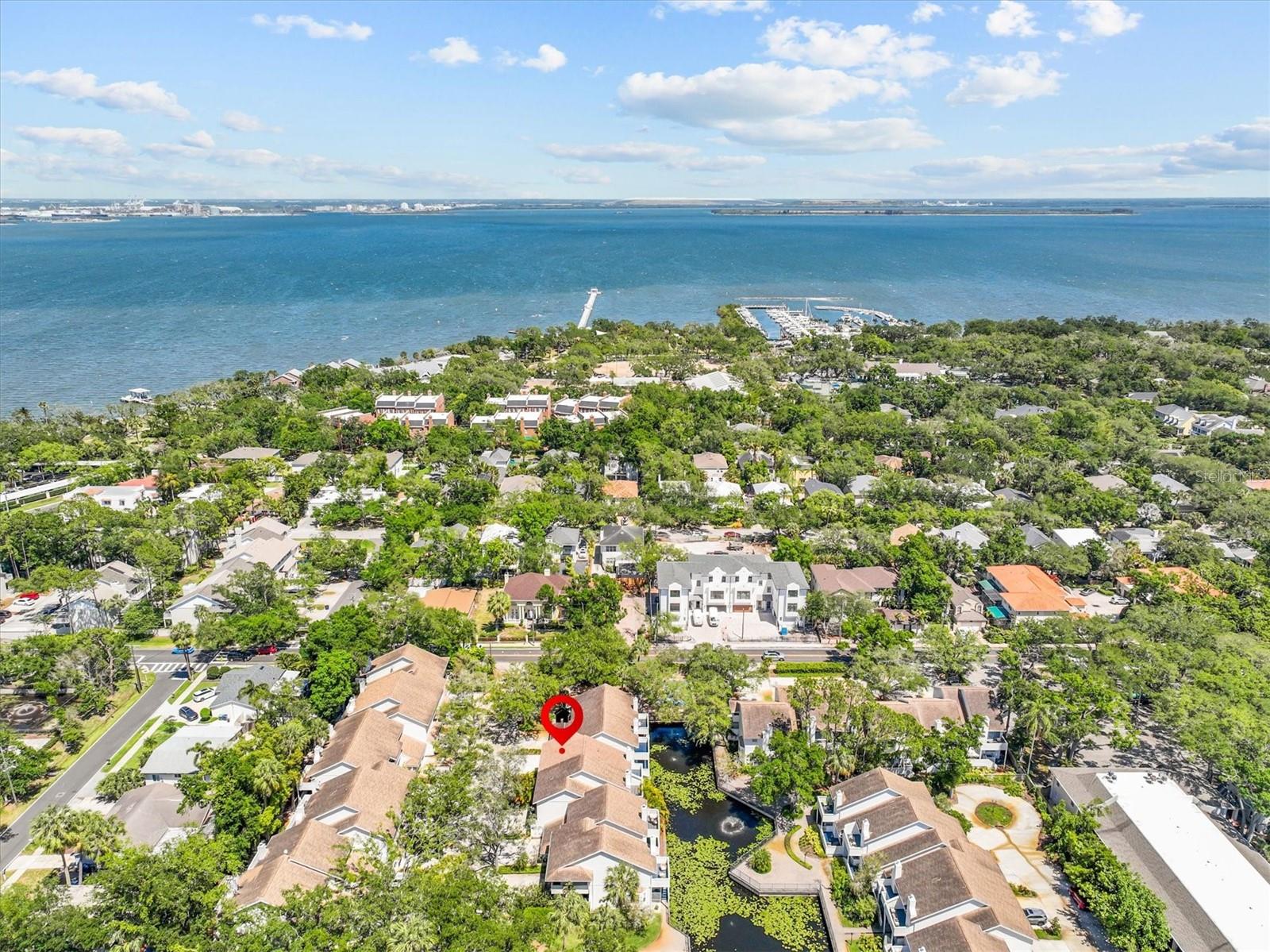 5203 BAYSHORE BLVD #14, TAMPA, FL, 33611