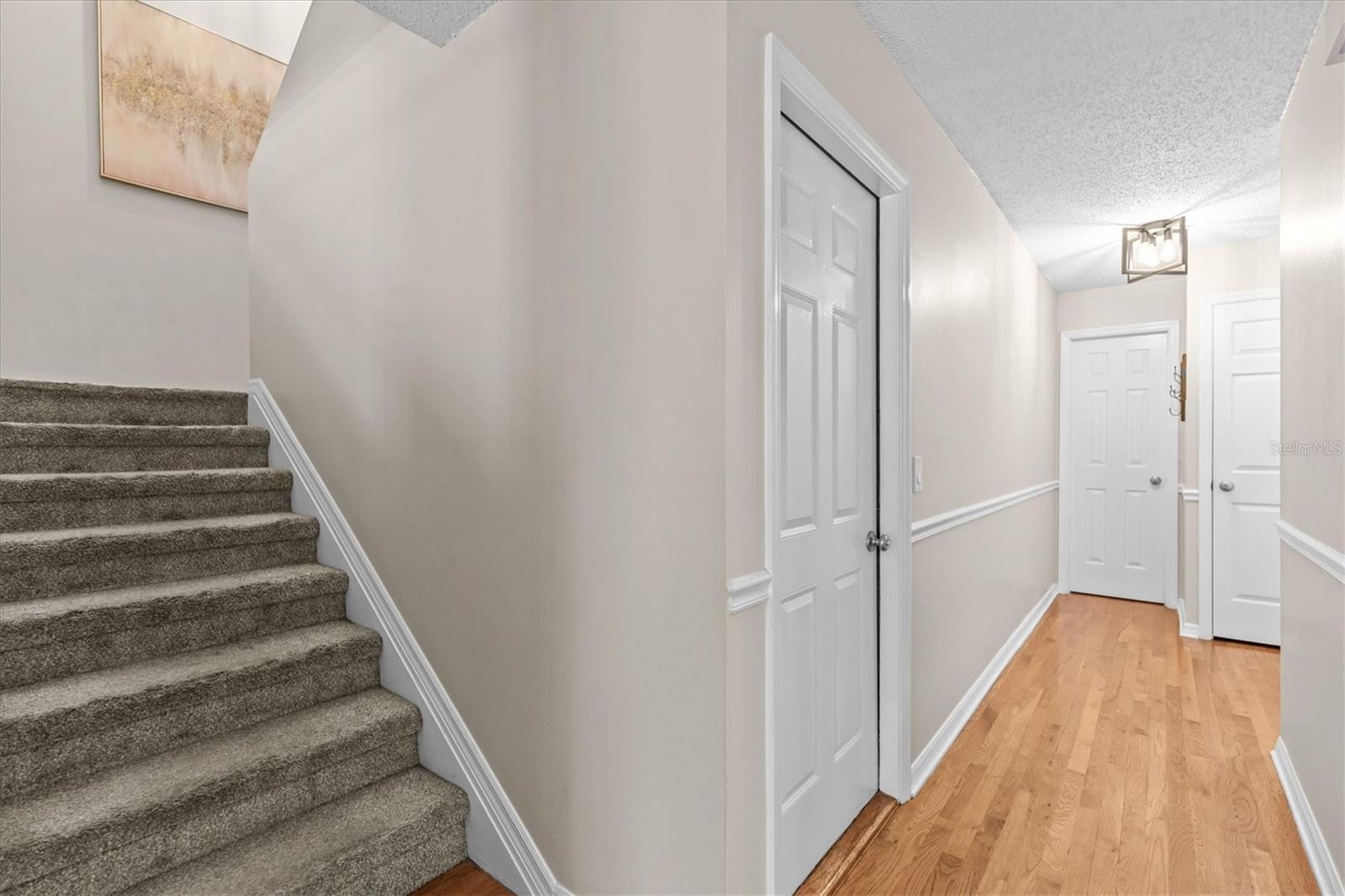 5203 BAYSHORE BLVD #14, TAMPA, FL, 33611