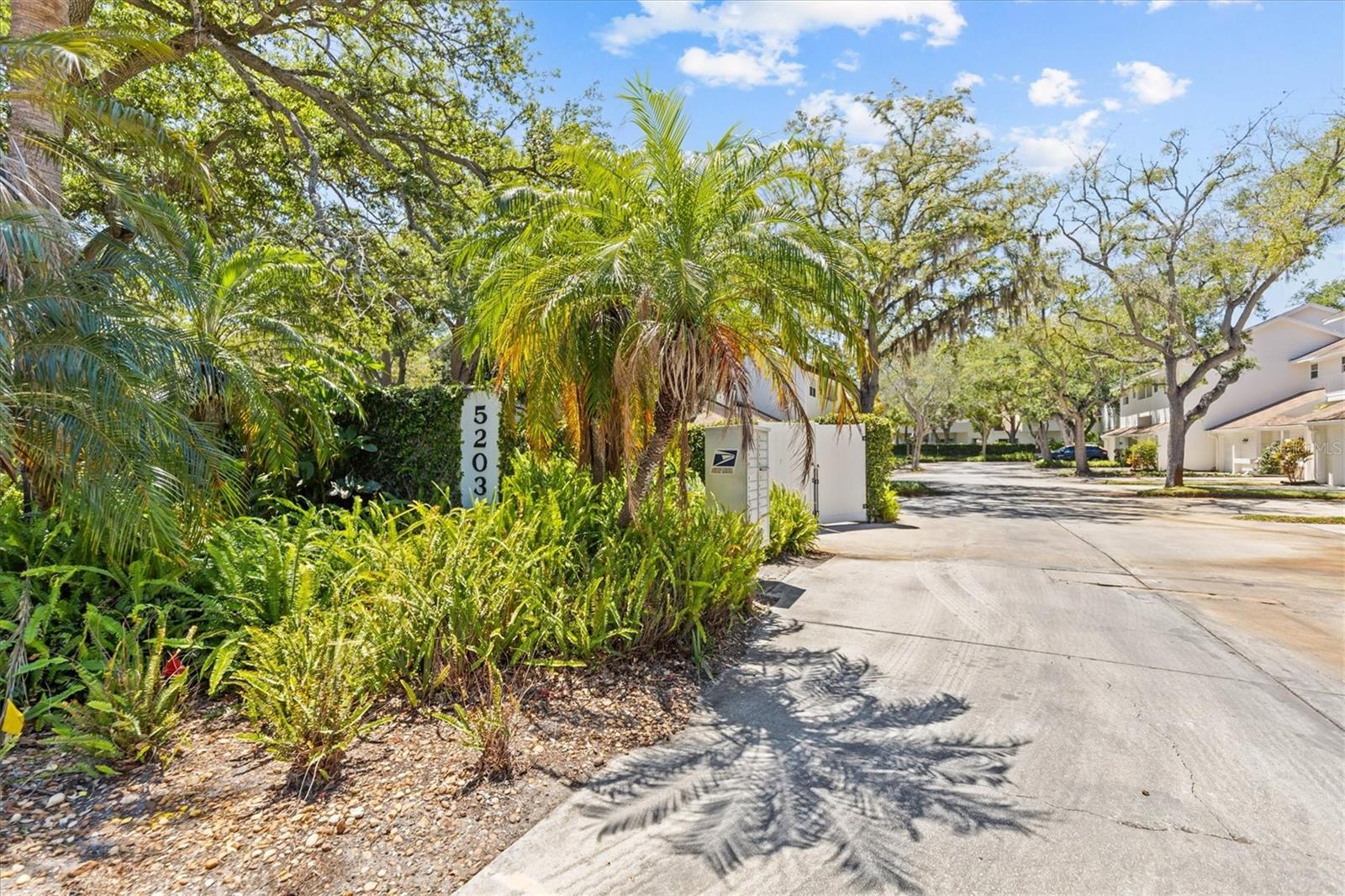 5203 BAYSHORE BLVD #14, TAMPA, FL, 33611