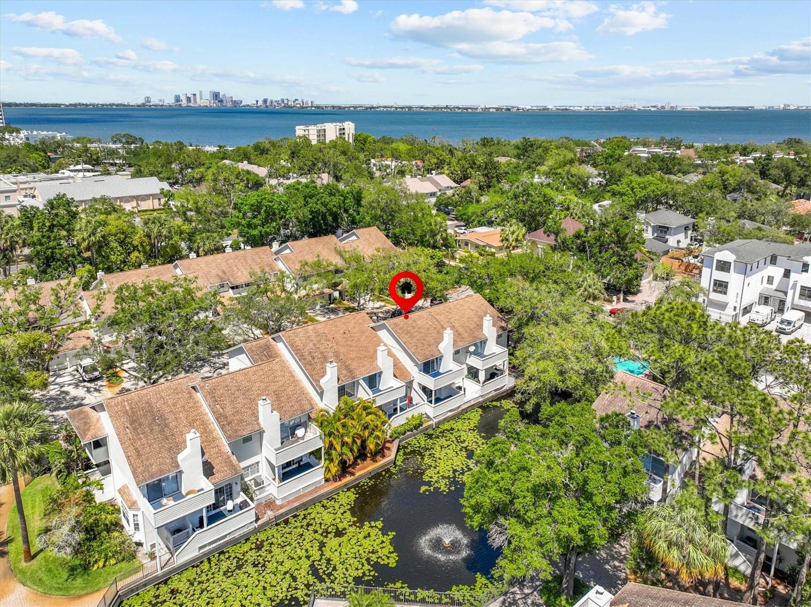 5203 BAYSHORE BLVD #14, TAMPA, FL, 33611