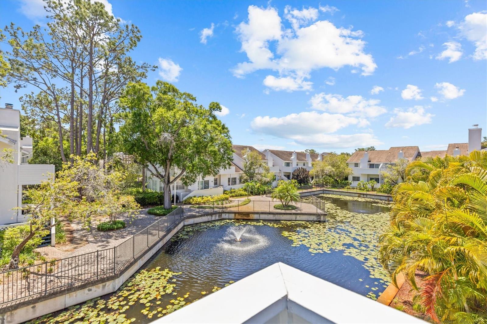 5203 BAYSHORE BLVD #14, TAMPA, FL, 33611